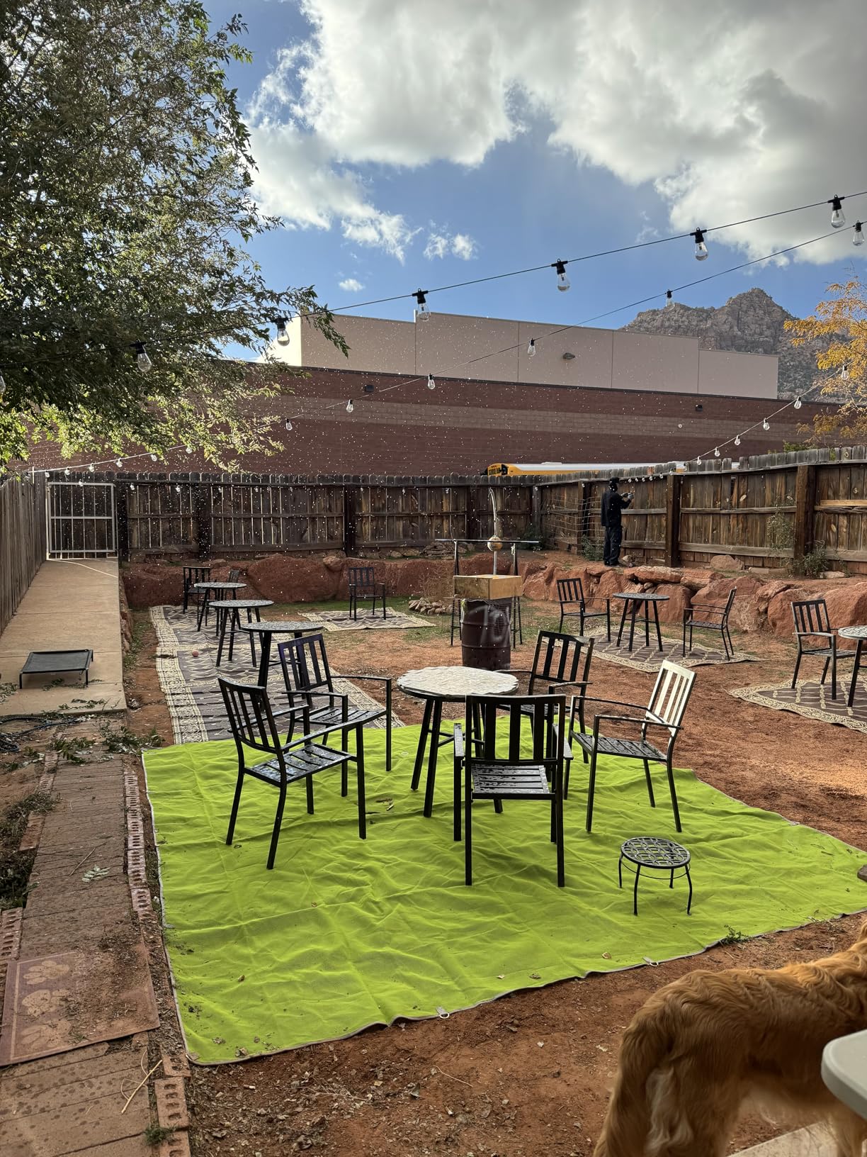 addlon 50FT LED Outdoor String Lights with Edison Shatterproof Bulbs, Weatherproof Strand, Commercial Grade Patio Lights, Decorative for Garden or Patio, Black - Customer Photo 2