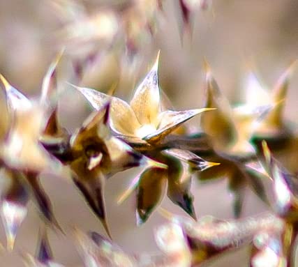 TTArtisan 23mm F1.4 APS-C Manual Focus Camera Lens for Sony E-Mount - Customer Photo 1