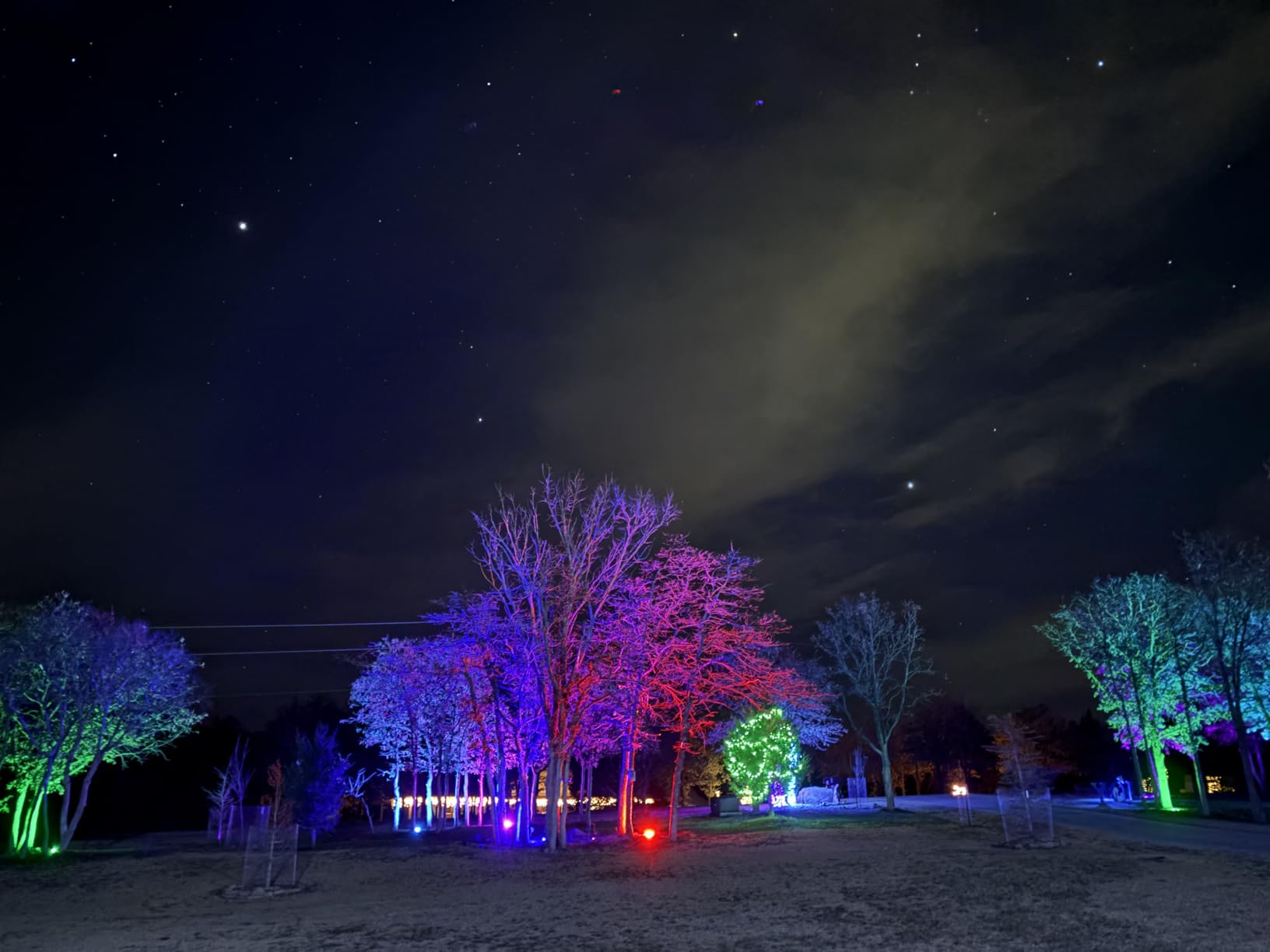 LED Flood Light Outdoor 30W, 300W Equivalent 3000LM Smart RGB Landscape Lighting with APP Control, DIY Scenes -Timing - Warm White 2700K -Color Changing Uplight, IP66, US Plug, No Remote MELPO(4 Pack) - Customer Photo 2