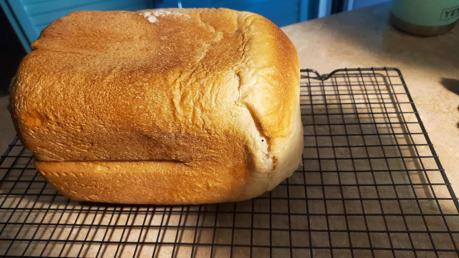 Elite Gourmet EBM8103M Programmable Bread Maker Machine 3 Loaf Sizes, 19 Menu Functions Gluten Free White Wheat Rye French and more, 2 Lbs, Mint - Customer Photo 1