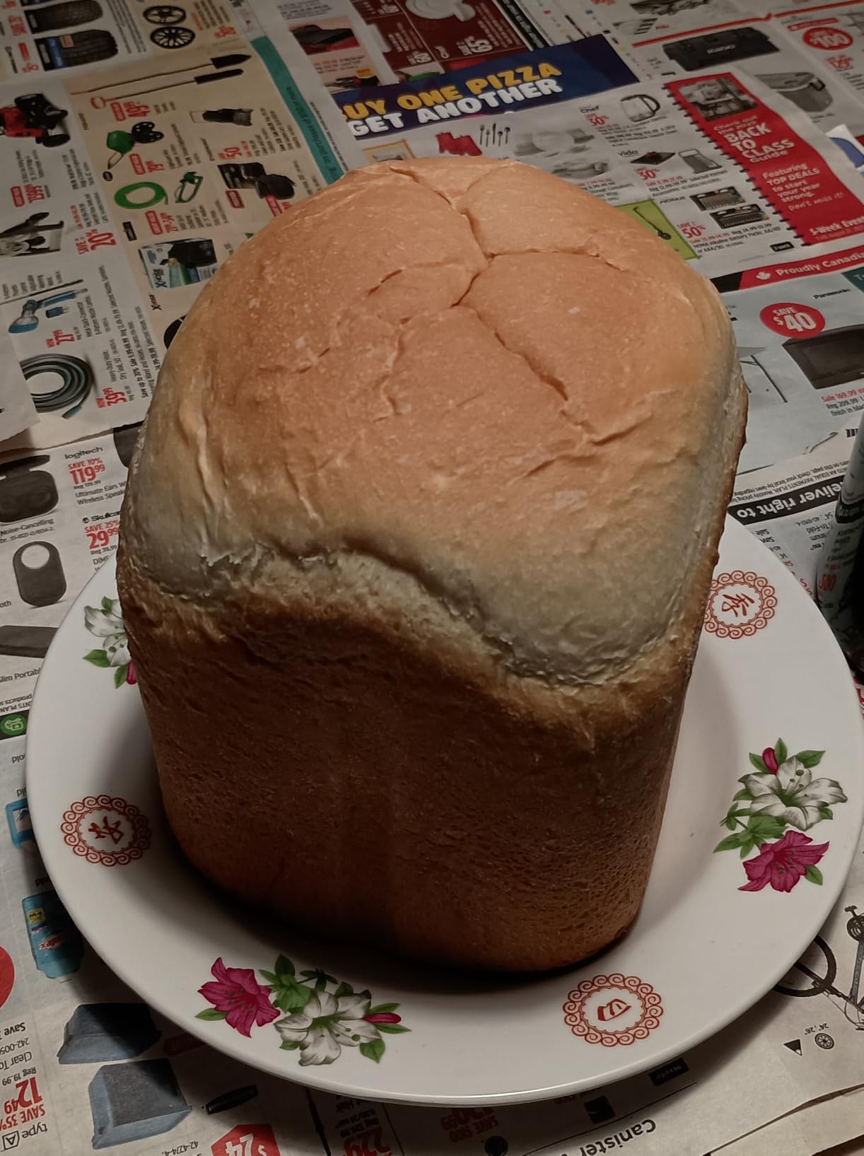 Elite Gourmet EBM8103M Programmable Bread Maker Machine 3 Loaf Sizes, 19 Menu Functions Gluten Free White Wheat Rye French and more, 2 Lbs, Mint - Customer Photo 2