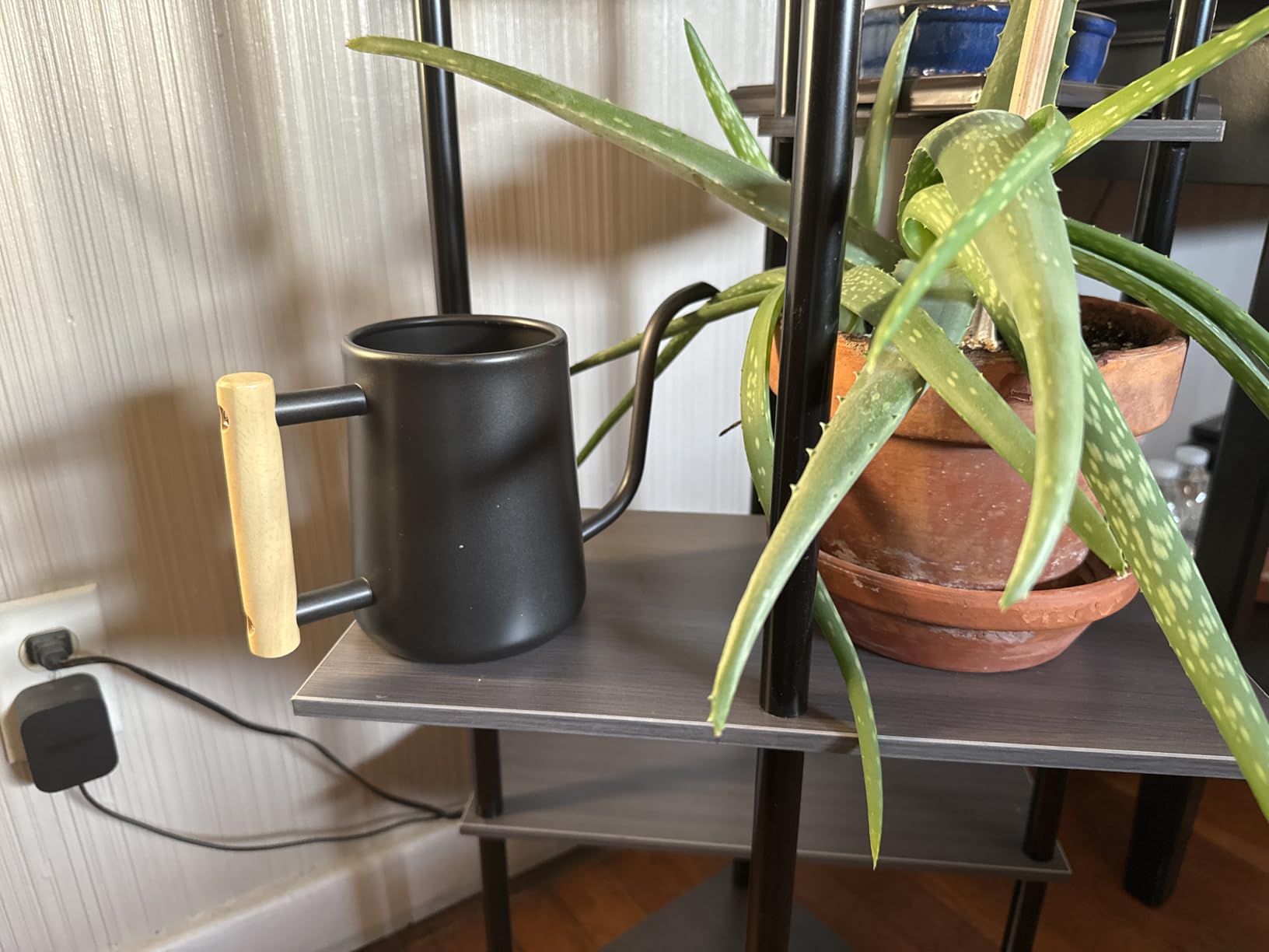 Watering Can for Indoor Plants, 35 oz/1000 ml Metal Stainless Steel Pot with Long Spout for House Plants Bonsai Outdoor Garden Flower Decorative (Black) - Customer Photo 2