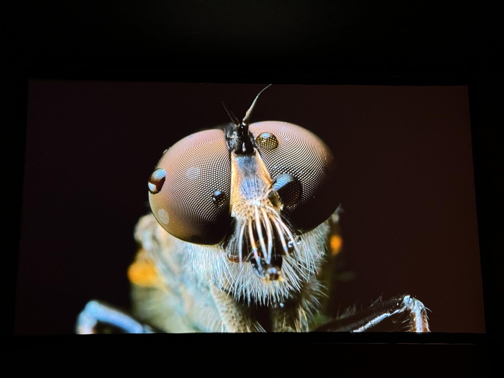 Epson Home Cinema LS11000 4K PRO-UHD Laser Projector, HDR, HDR10+, 2,500 Lumens Color & White Brightness, HDMI 2.1, Motorized Lens, Lens Shift, Focus, Zoom, 3840 x 2160, 120 Hz - Customer Photo 1