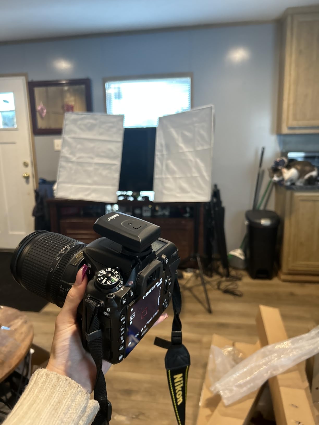 Godox Professional Studio Flash Kit, 2x180W 5600K Compact Monolights with Flash Trigger, Softbox, Light Stands Customer Review Godox Professional Studio Flash Kit, 2x180W 5600K Compact Monolights with Flash Trigger, Softbox, Light Stands - Customer Photo 1