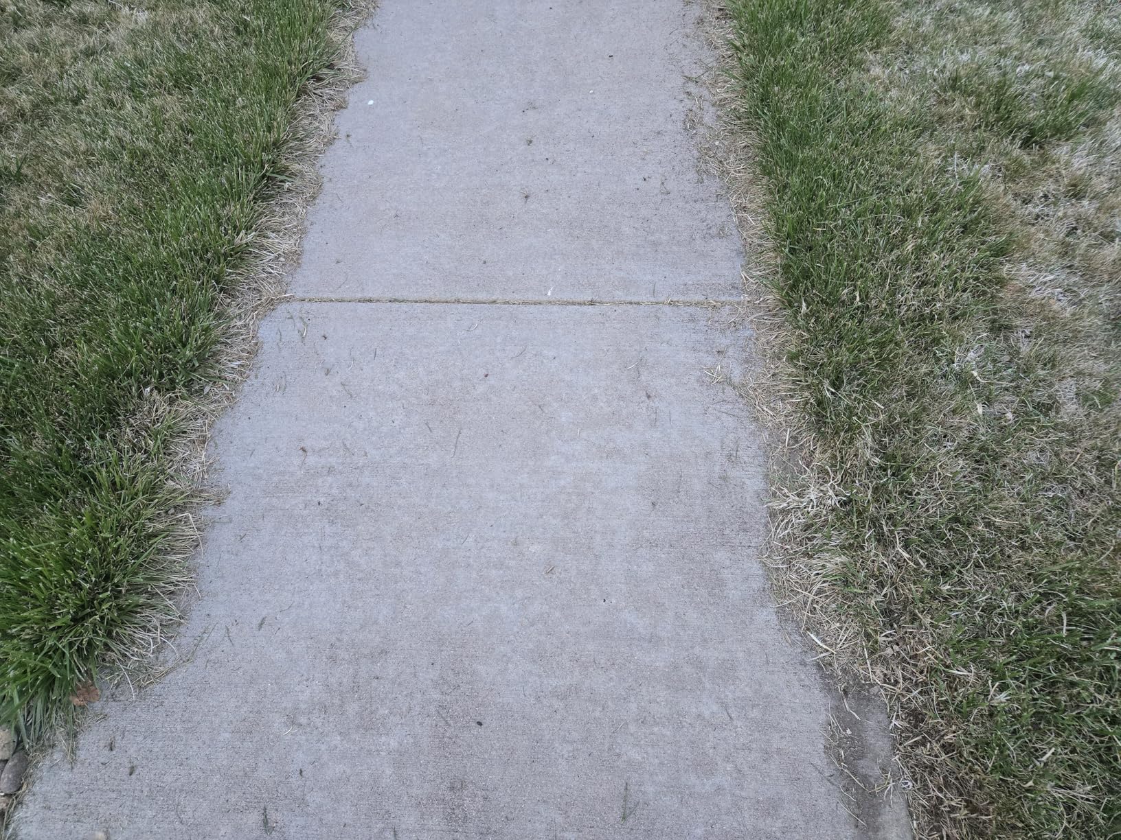 Amazon Basics 12 Amp 7.5