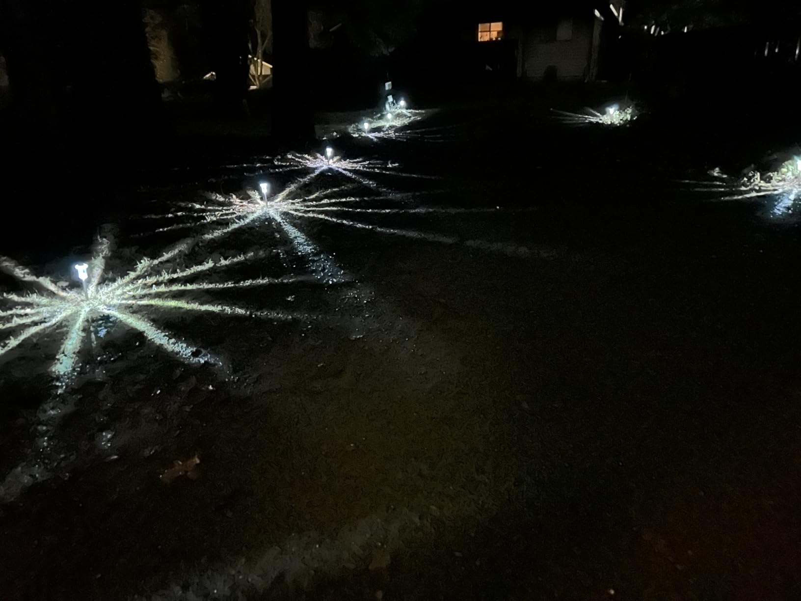 DenicMic Solar Lights Outdoor 10 Pack Waterproof 6000K Cold White LED Stainless Steel Stake Outside Lights for Yard Pathway Garden Driveway Walkway Landscape Path Lighting - Customer Photo 2