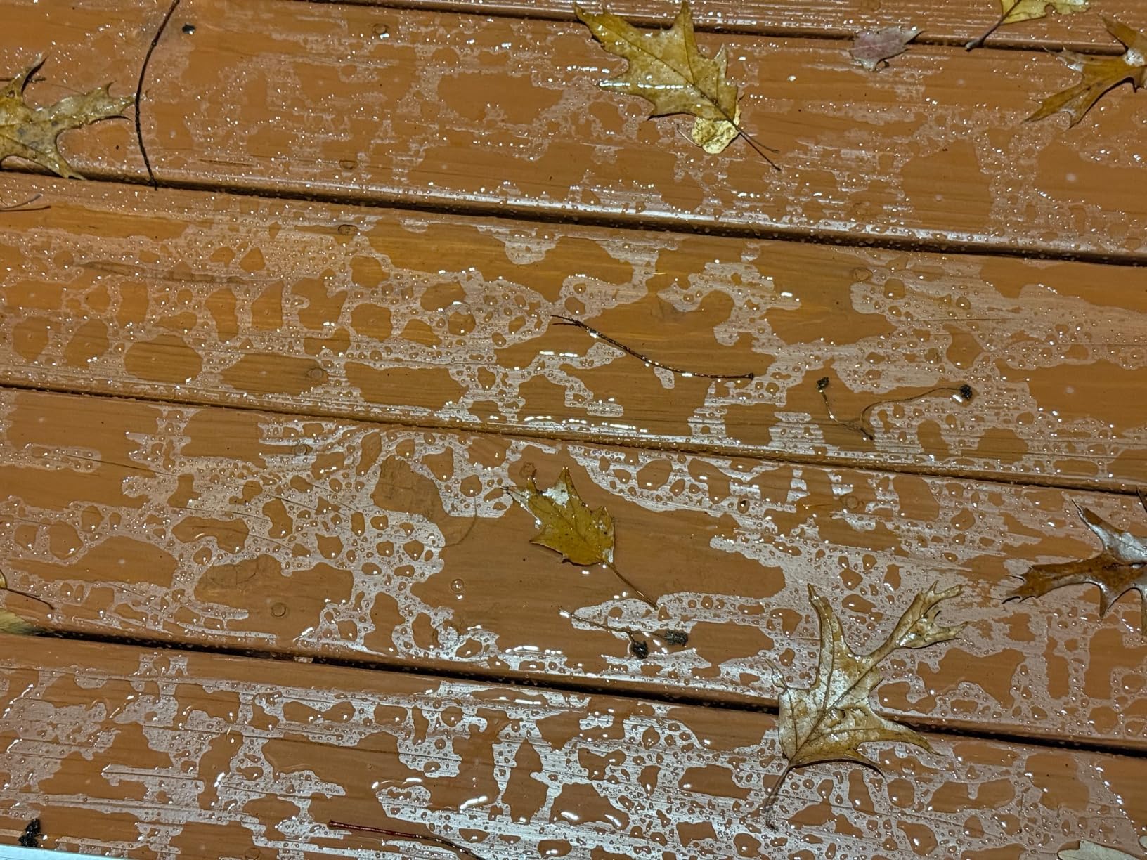 Thompson's WaterSeal Semi-Transparent Waterproofing Wood Stain and Sealer, Chestnut Brown, 1 Gallon - Customer Photo 2