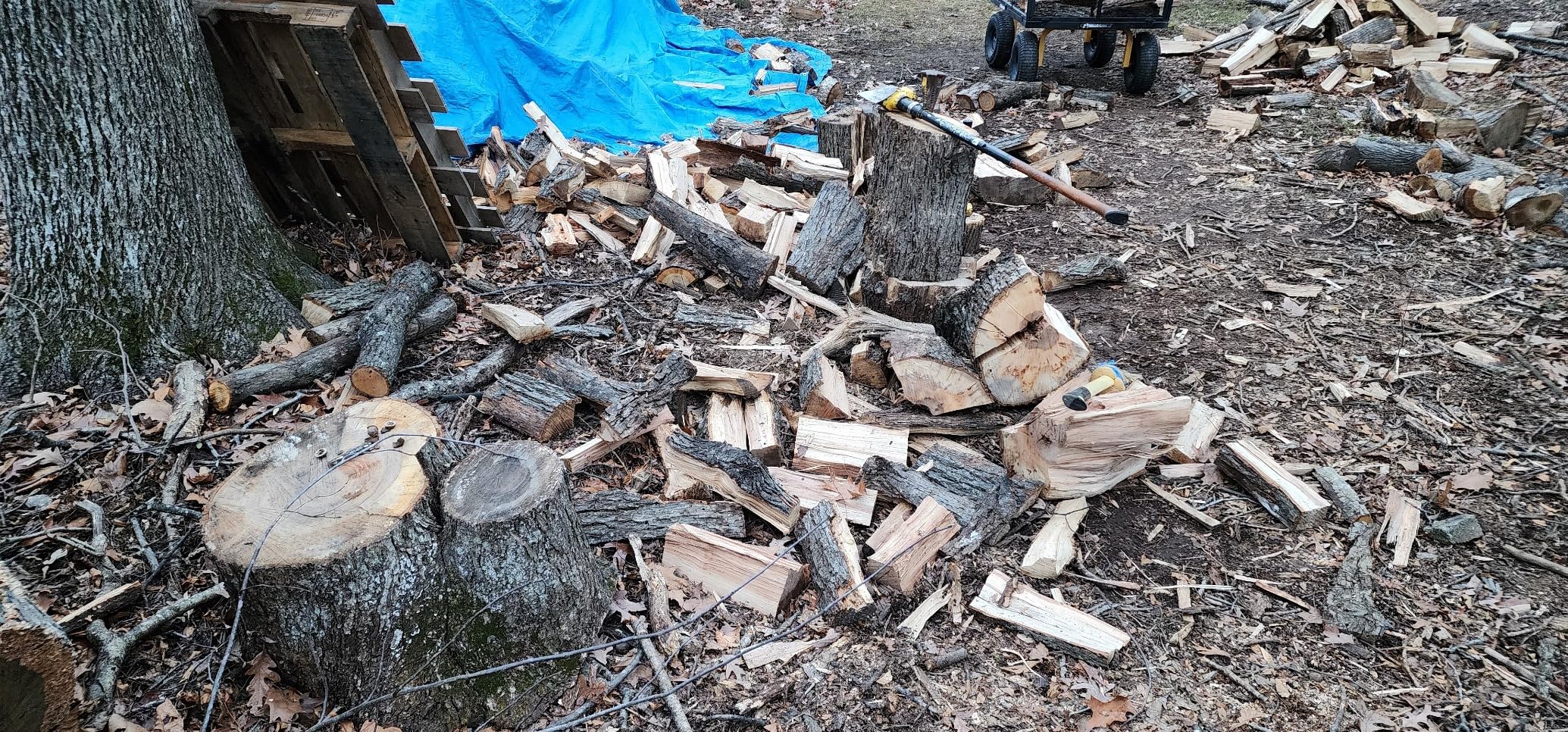 EGO POWER+ Chain Saw, 16 EGO POWER+ Chain Saw, 16