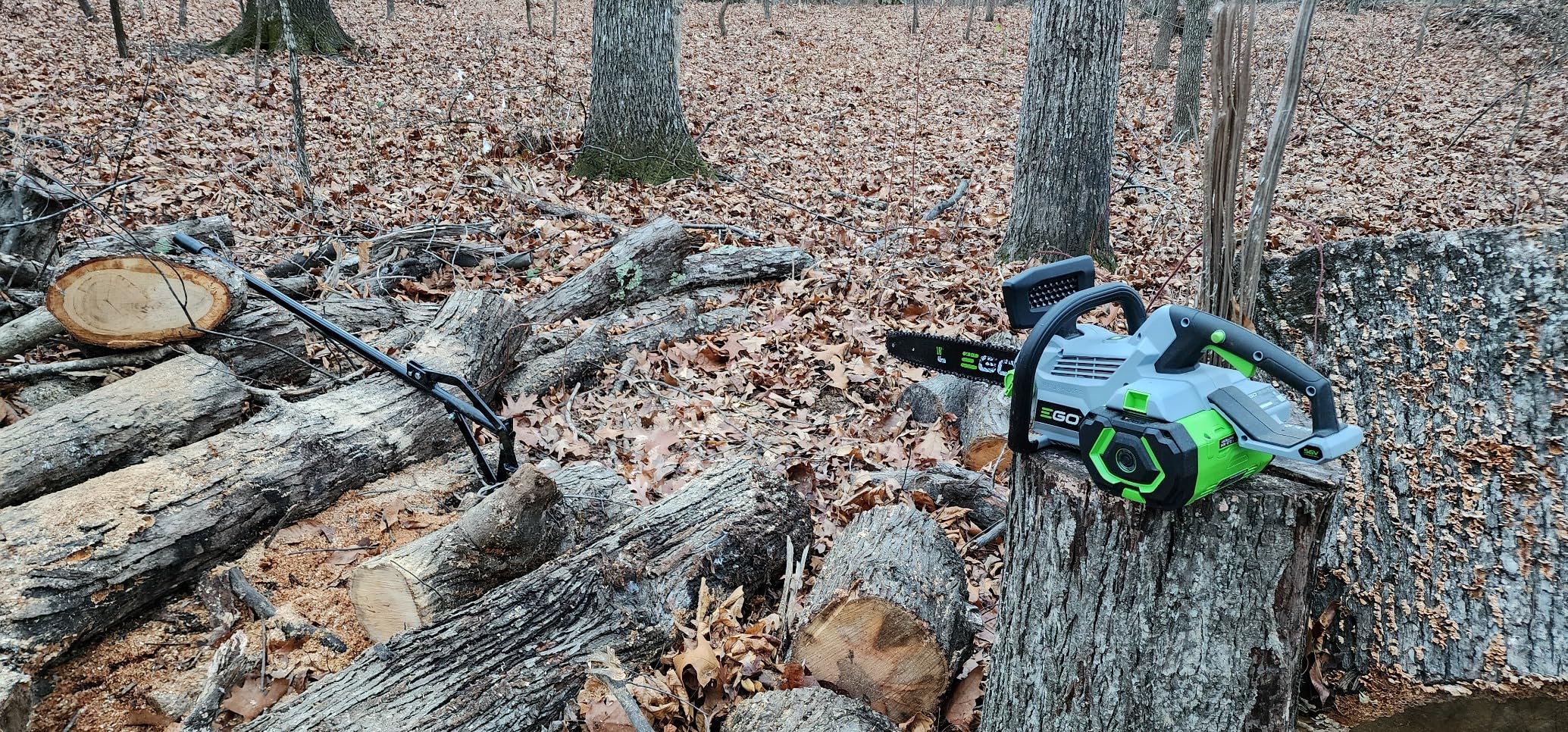 EGO POWER+ Chain Saw, 16