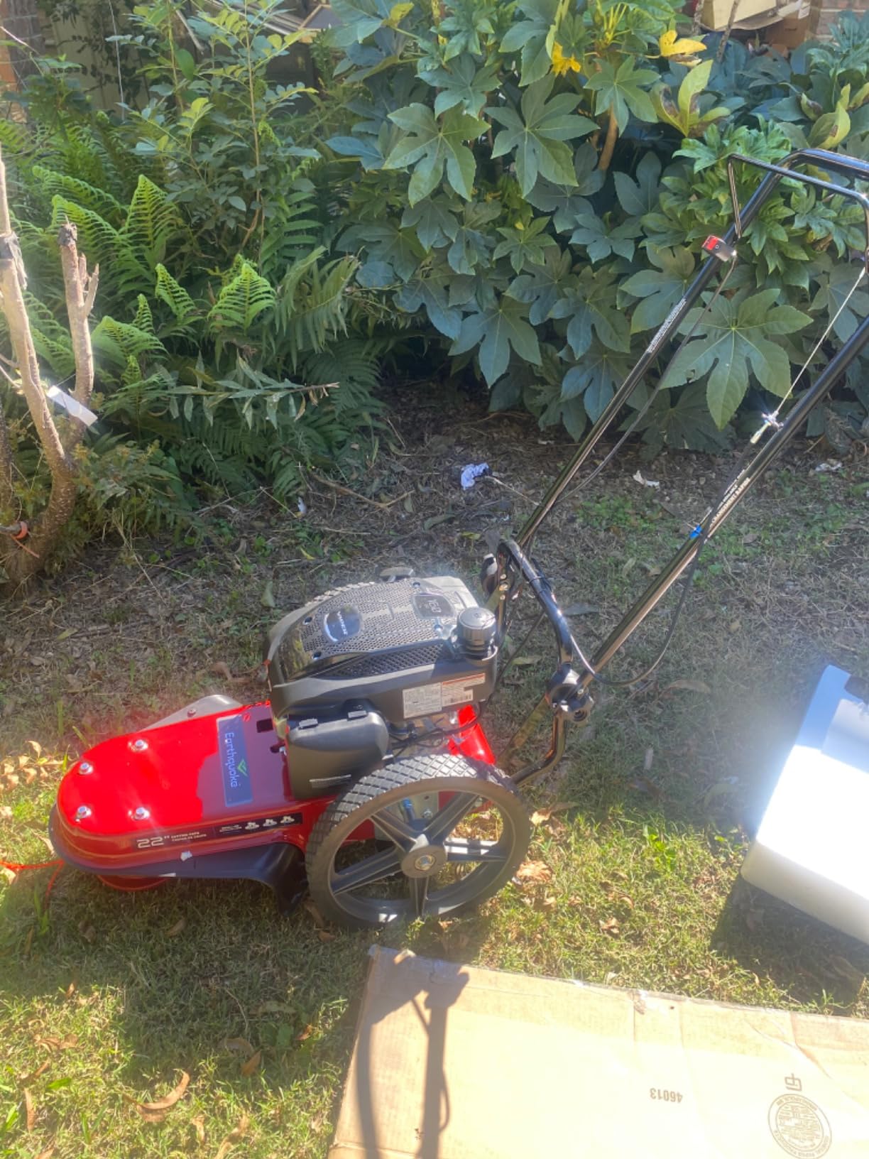 Earthquake Walk Behind String Mower With 160cc Viper 4-Cycle Engine, 22