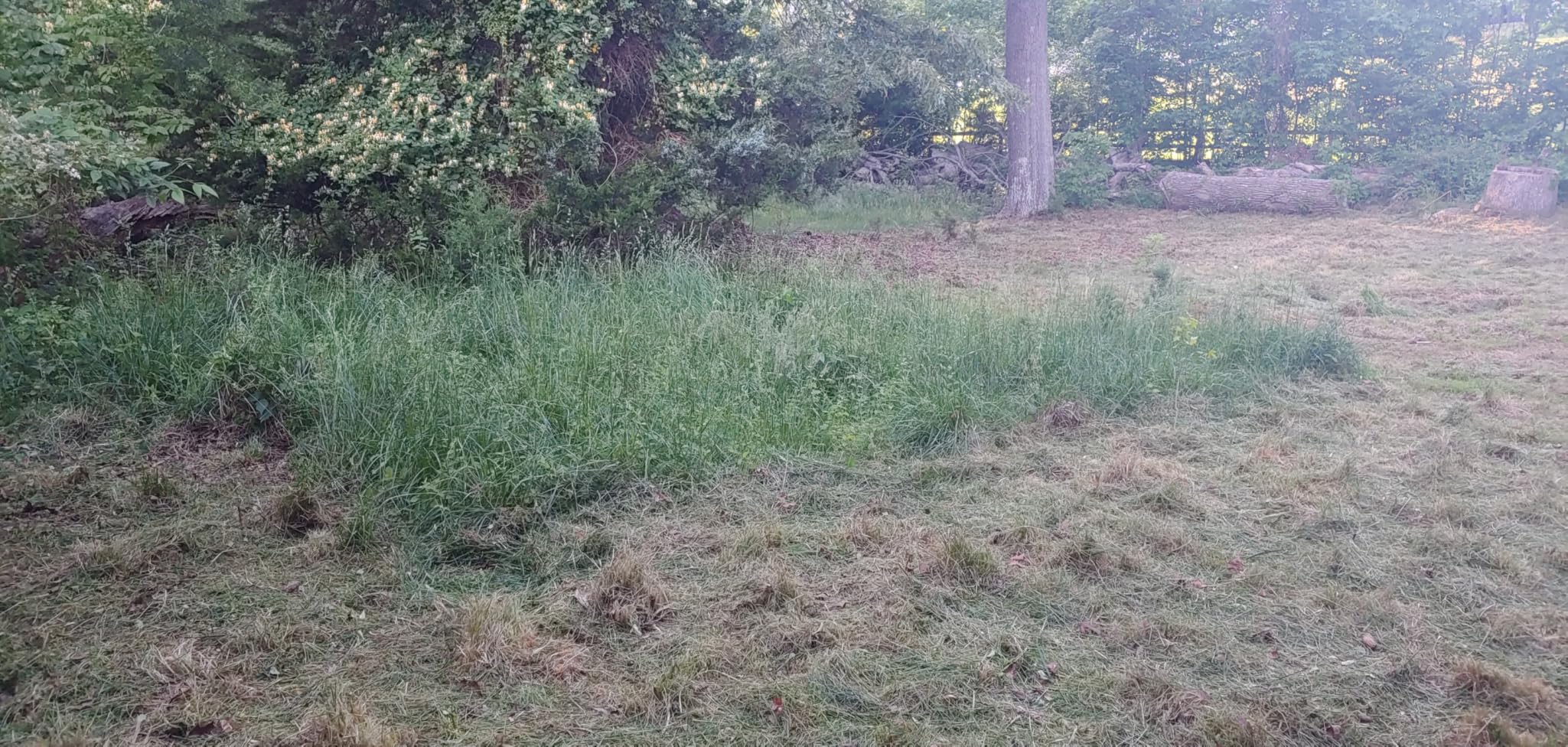 Earthquake Walk Behind String Mower With 160cc Viper 4-Cycle Engine, 22