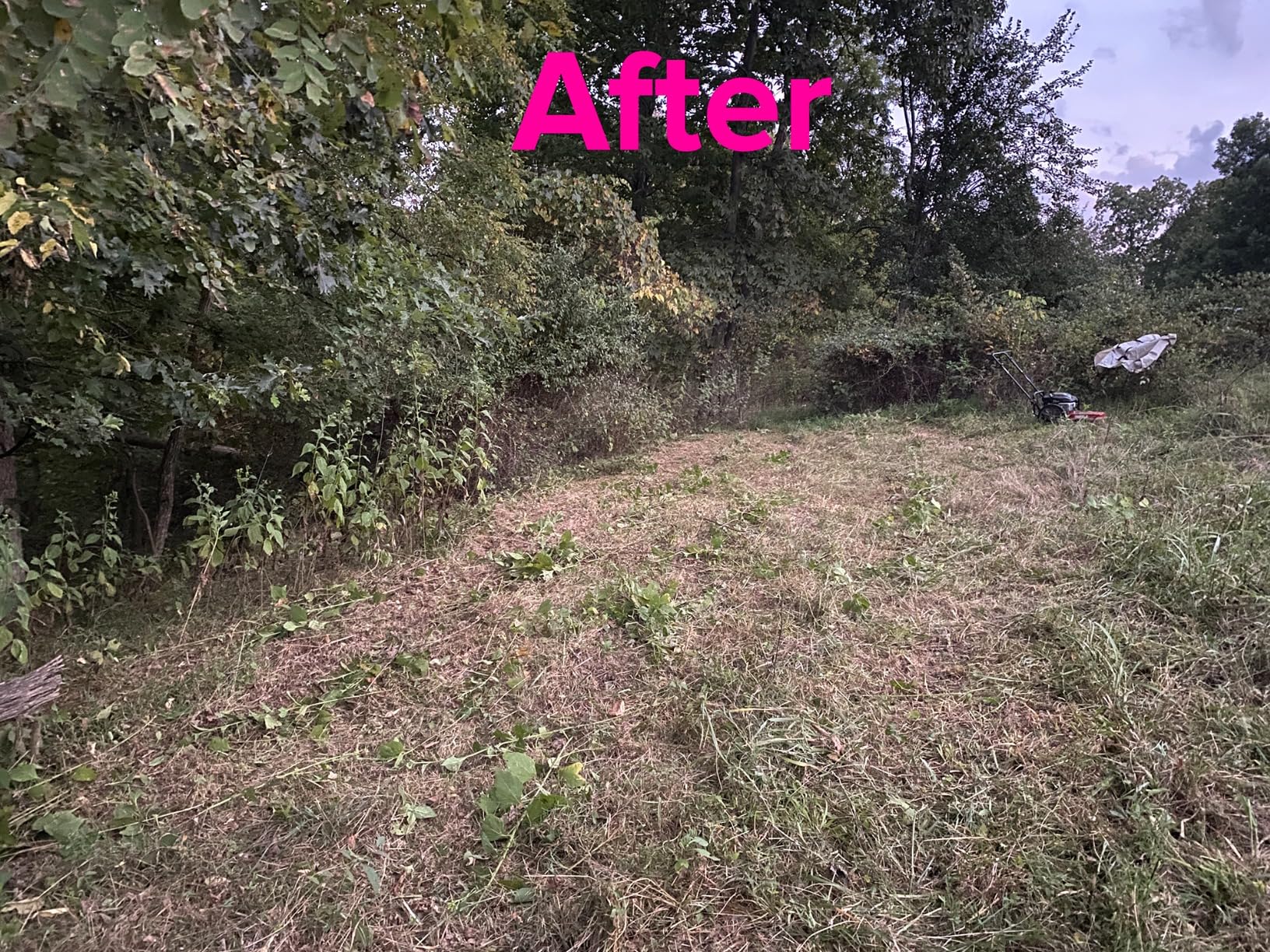 Earthquake Walk Behind String Mower With 160cc Viper 4-Cycle Engine, 22