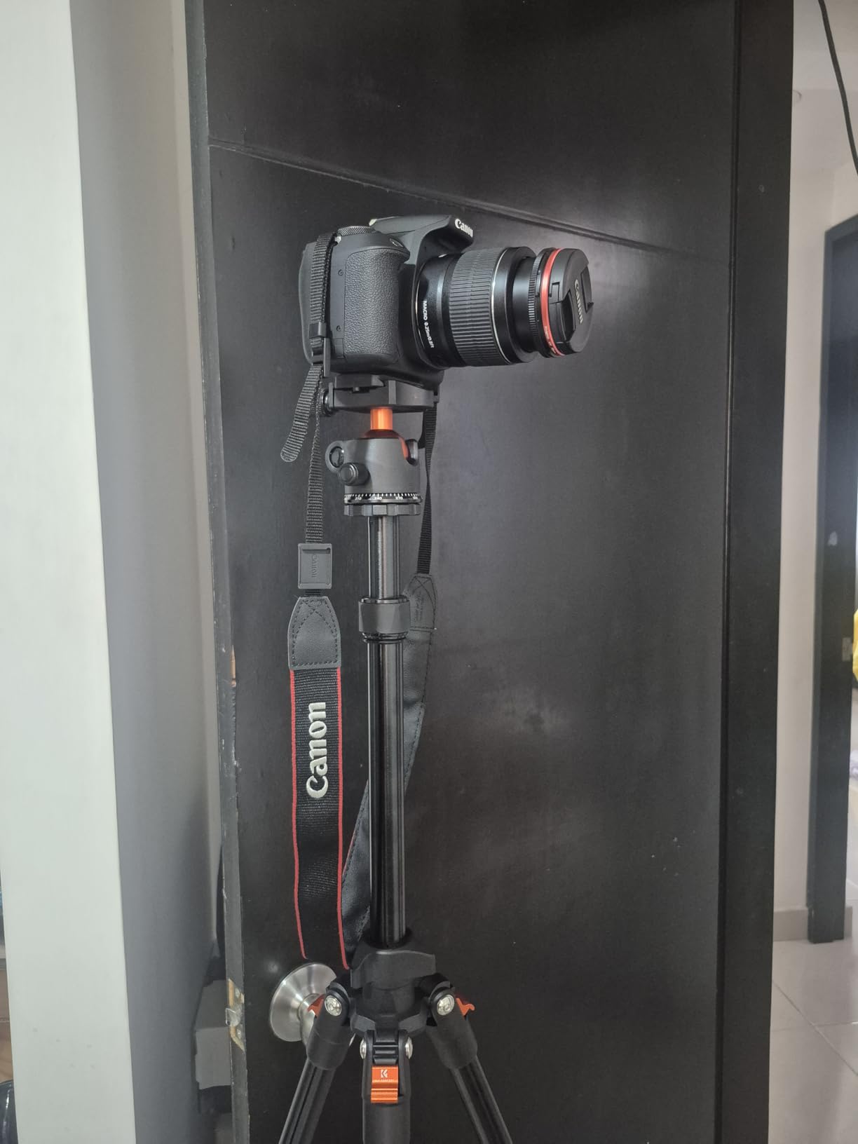 K&F CONCEPT 64 inch/163 cm Camera Tripod, Lightweight Travel Outdoor DSLR Tripods with 360 Degree Ball Head Load Capacity 17.6 lbs/8 kg, Cellphone Clip for Smartphone Live Streaming Vlog - Customer Photo 1