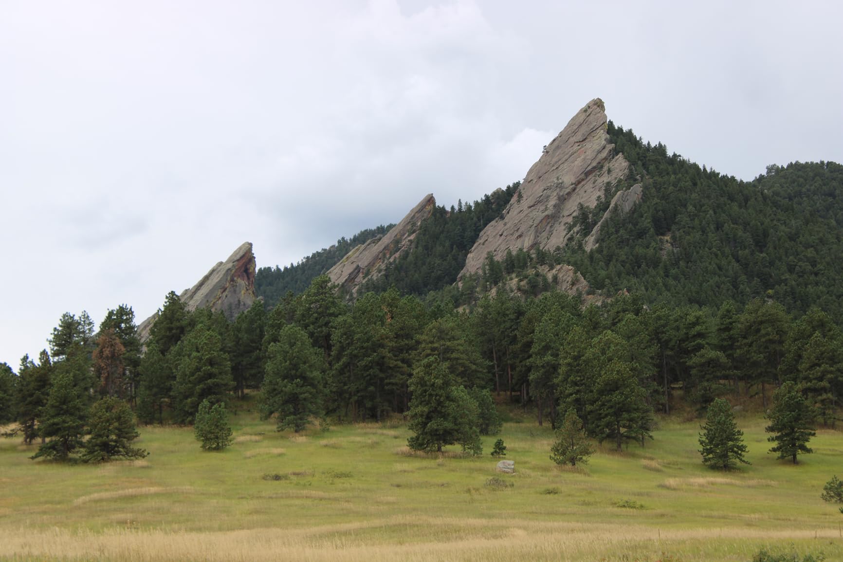 Canon EOS R7 Mirrorless Camera (Body Only), Hybrid Camera, 32.5 Megapixel (APS-C) CMOS Sensor, 4K Video, for Sports, Action, Content Creators, Vlogging Camera, Black - Customer Photo 3