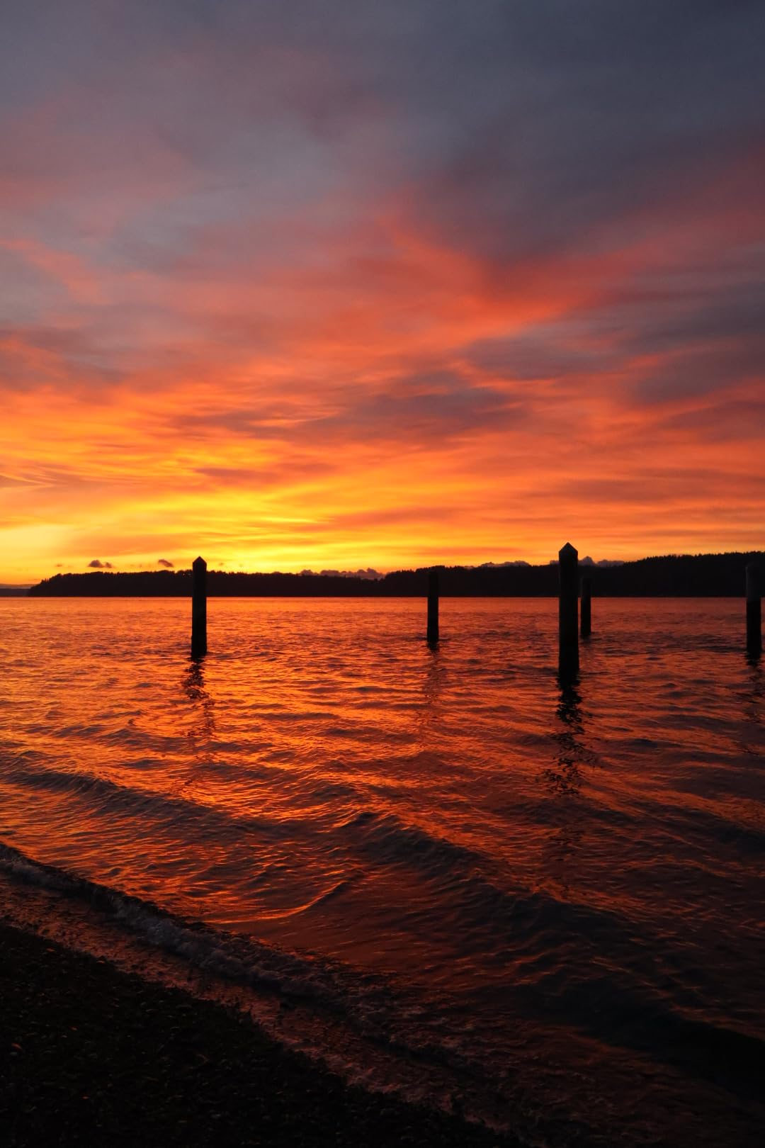 Canon EOS R10 Mirrorless Camera with RF-S 18-45mm Lens Kit Customer Review Canon EOS R10 Mirrorless Camera with RF-S 18-45mm Lens Kit - Customer Photo 5