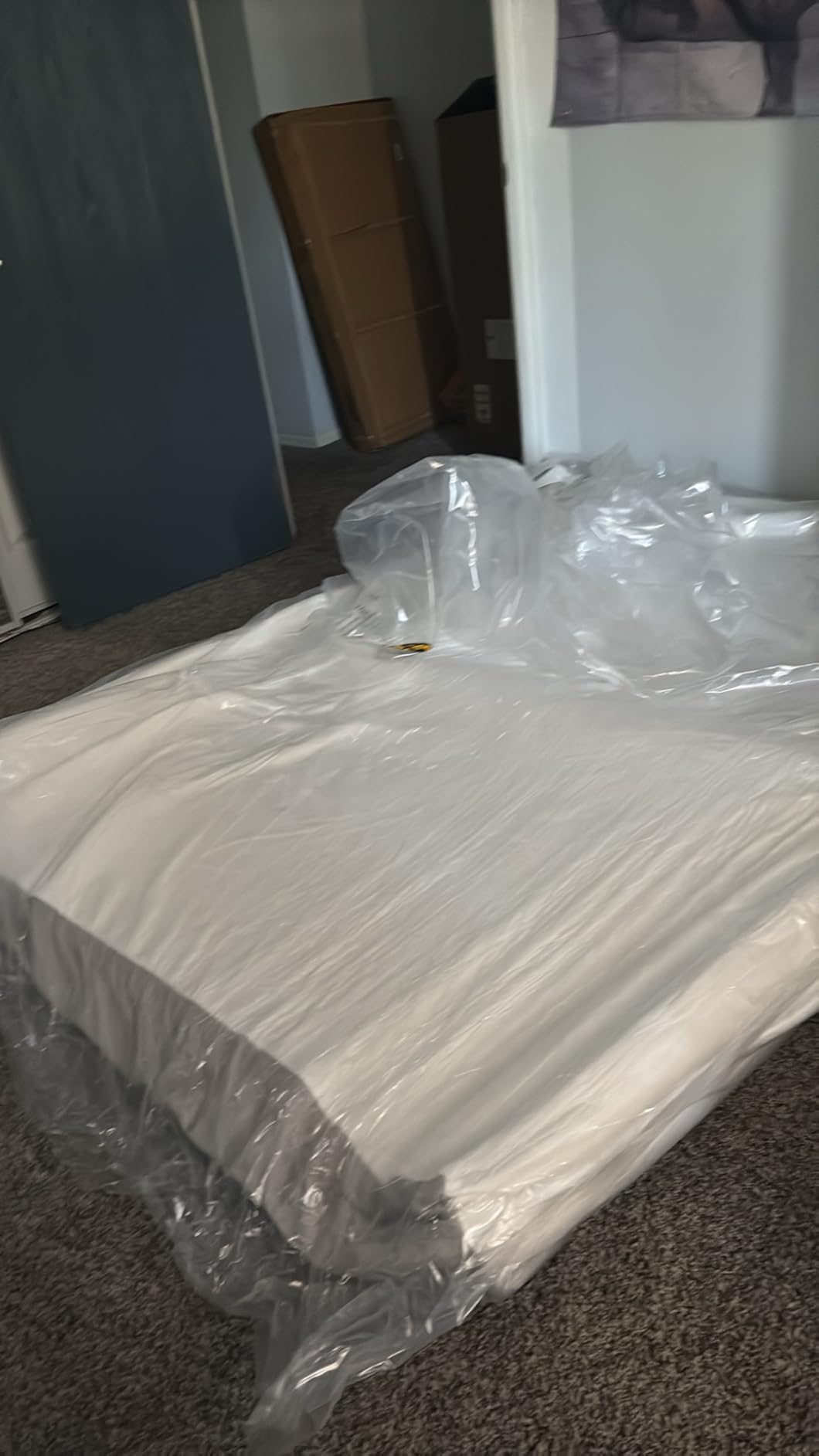 Amazon Basics Memory Foam Mattress, Medium Firm, 12 Inch, California King, White/Grey - Customer Photo 2