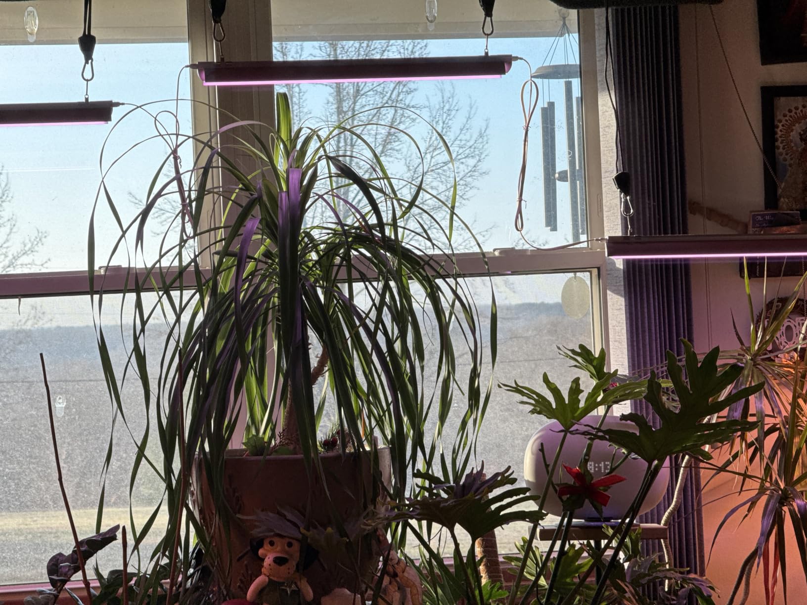 Barrina Plant Grow Lights, 4FT 5000K Full Spectrum Daylight White, 252W(6 x 42W, 1400W Equivalent), T8 LED Grow Light Strips, Growing Lamp Fixture, Plant Lights for Indoor Plants, Greenhouse, 6-Pack - Customer Photo 1