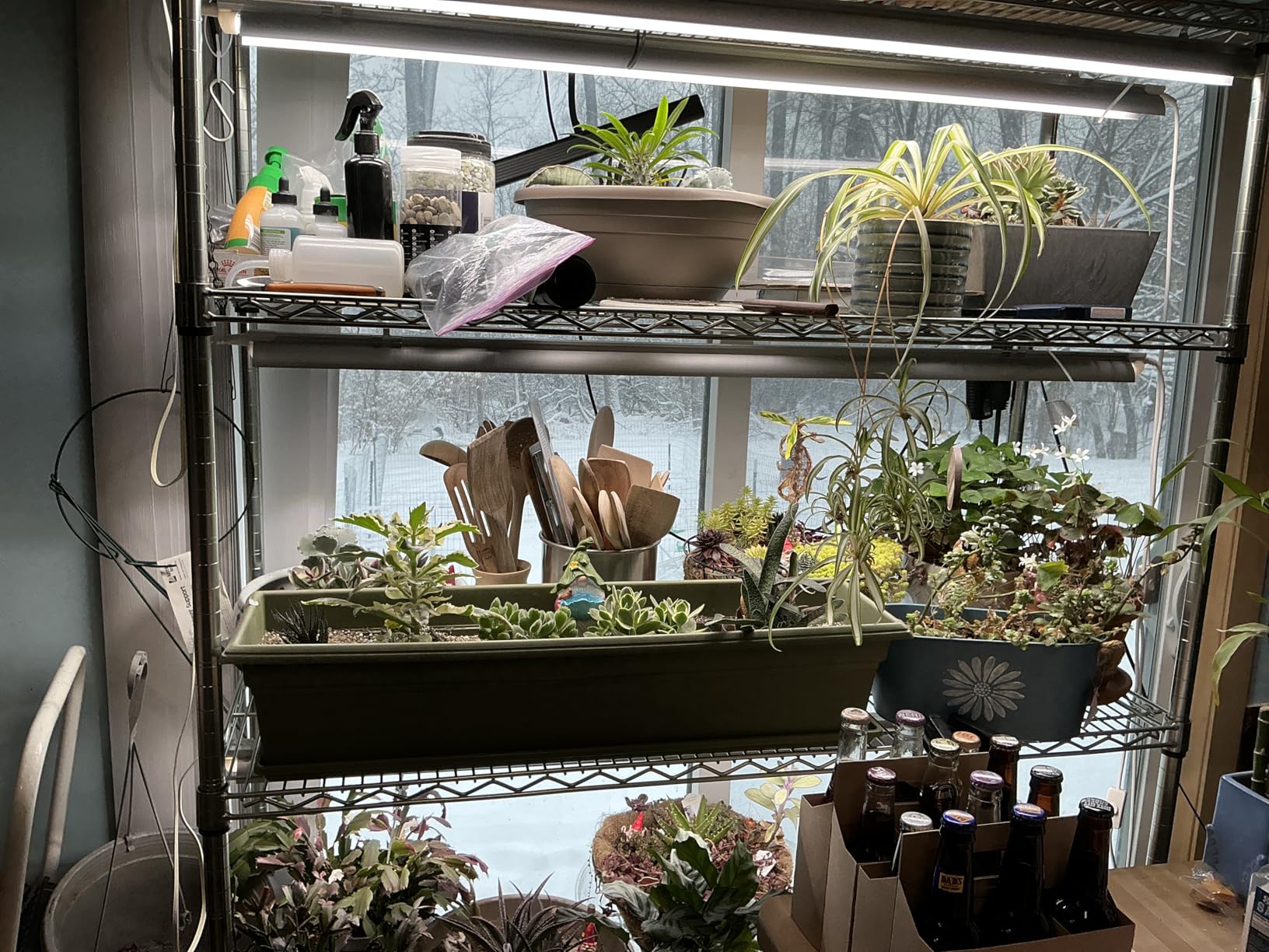 Barrina Plant Grow Lights, 4FT 5000K Full Spectrum Daylight White, 252W(6 x 42W, 1400W Equivalent), T8 LED Grow Light Strips, Growing Lamp Fixture, Plant Lights for Indoor Plants, Greenhouse, 6-Pack - Customer Photo 2