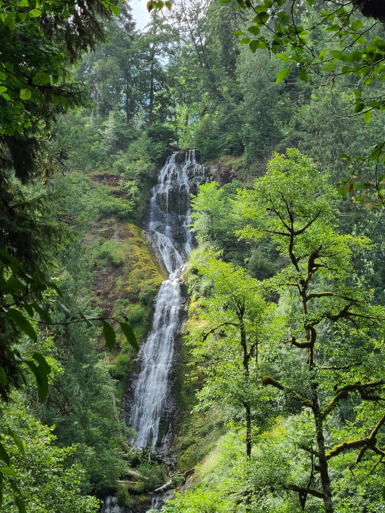 Nikon Z 30 - Customer Photo 2