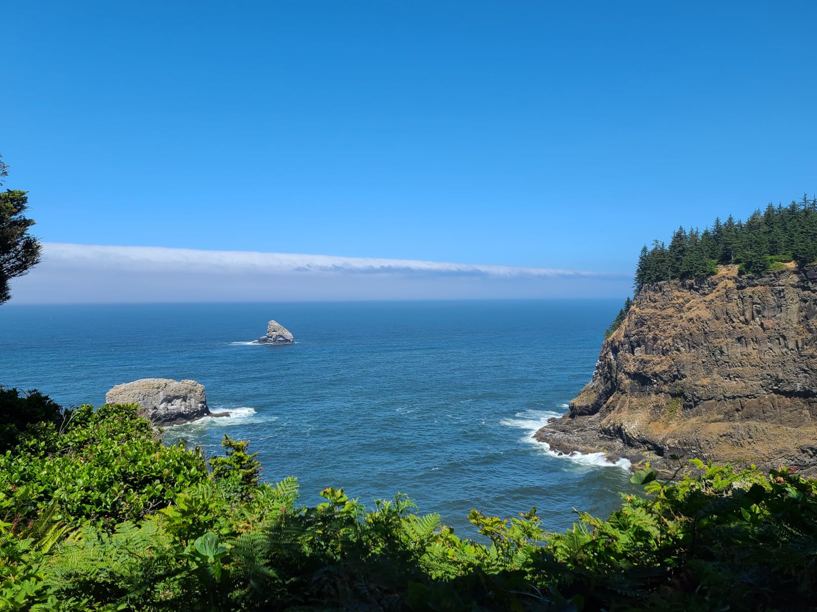 Nikon Z 30 with Wide-Angle Zoom Lens | Our most compact, lightweight mirrorless stills/video camera with 16-50mm zoom lens | Nikon USA Model - Customer Photo 2