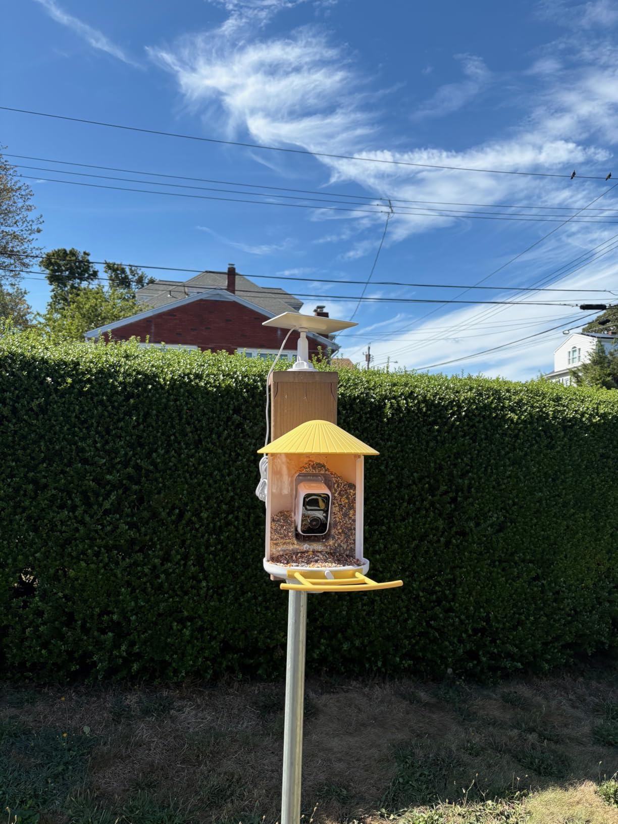 NETVUE by Birdfy Smart Bird Feeder with 2K AI Camera, Auto Capture Videos & Motion Detection, Live Steam, Wireless Wildbird Watching, Ideal Gift for Outdoor Backyard Birder(AI by Subscription) - Customer Photo 1