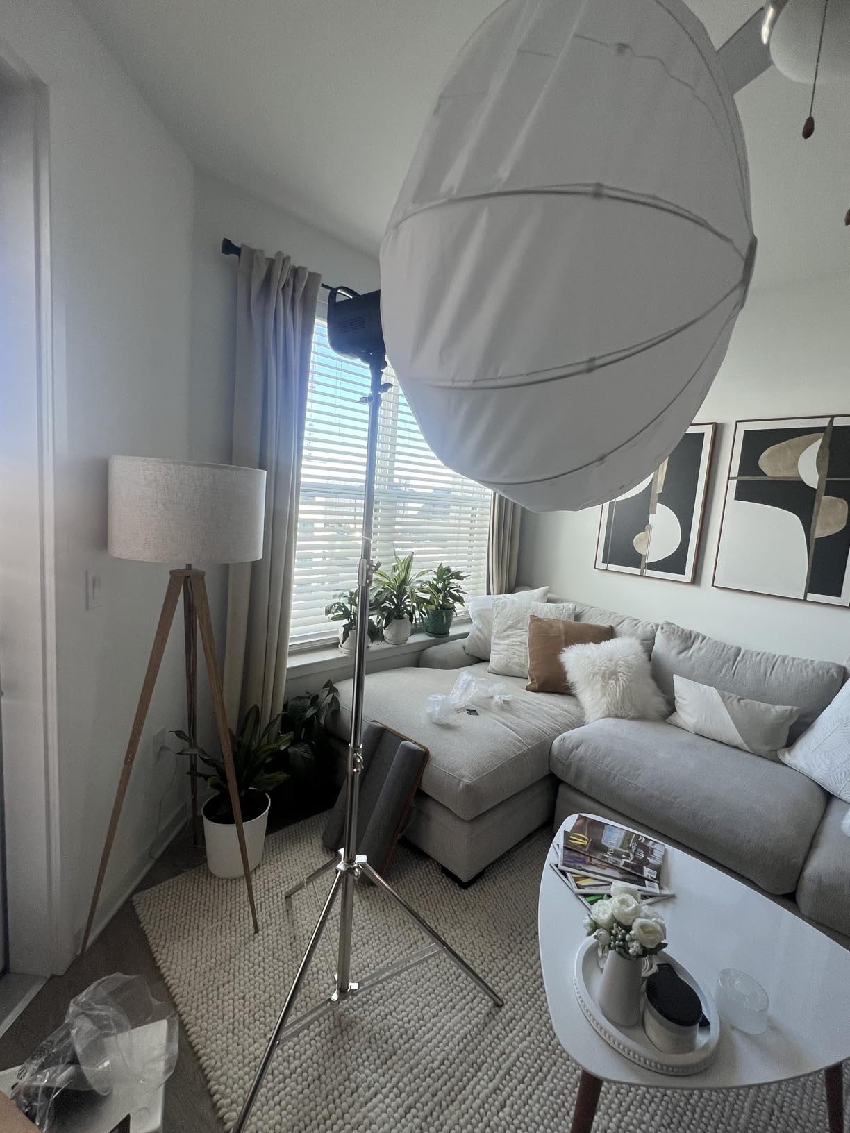 NEEWER 7.2ft/2.2m Stainless Steel Light Stand, Spring Cushioned Heavy Duty Photography Tripod Stand with 1/4 NEEWER 7.2ft/2.2m Stainless Steel Light Stand, Spring Cushioned Heavy Duty Photography Tripod Stand with 1/4