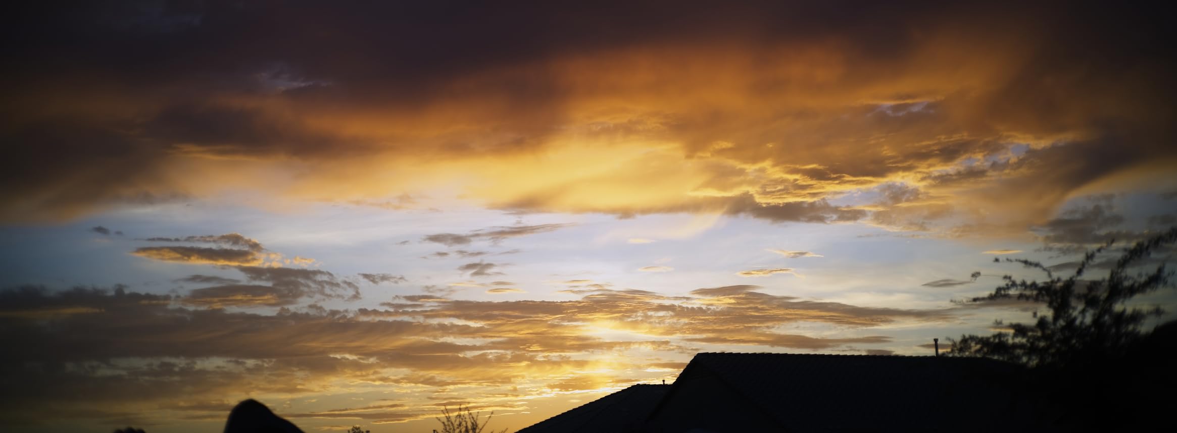 TTArtisan 50mm F2 Full Frame Large Aperture Manual Portrait Lens for Sony E Mount fe Mirrorless Camera Alpha A6000 A6300 A6400 A7C A7MIII A7MIV A7RIII A9 NEX-3 NEX-3N NEX-5 Black - Customer Photo 1