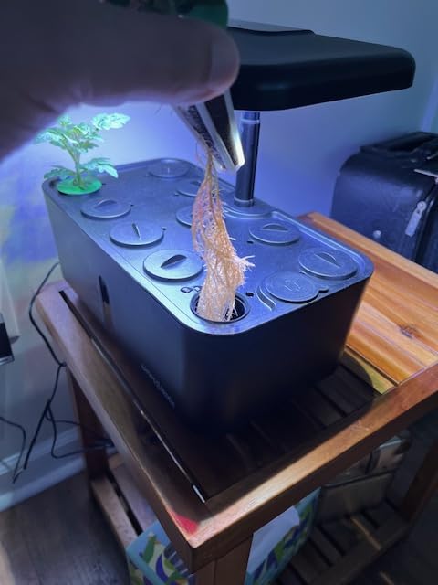 Ahopegarden Indoor Garden Hydroponics Growing System: 10 Pods Plant Germination Kit Herb Vegetable Growth Lamp Countertop with LED Grow Light - Hydrophonic Planter Grower Harvest Lettuce - Customer Photo 1