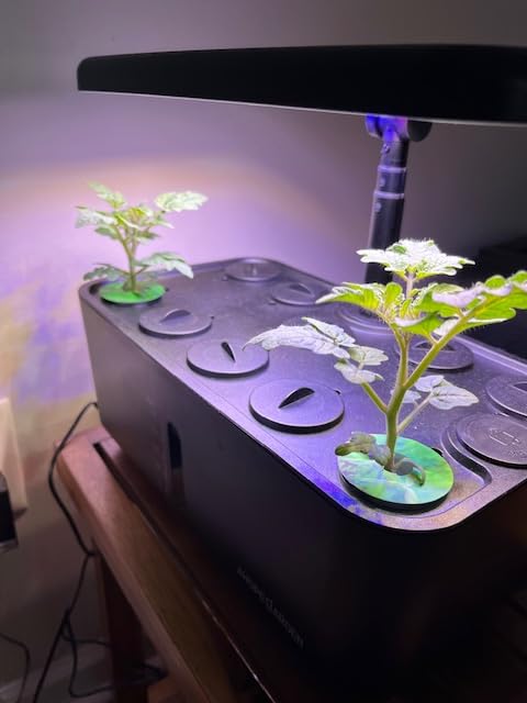 Ahopegarden Indoor Garden Hydroponics Growing System: 10 Pods Plant Germination Kit Herb Vegetable Growth Lamp Countertop with LED Grow Light - Hydrophonic Planter Grower Harvest Lettuce - Customer Photo 2