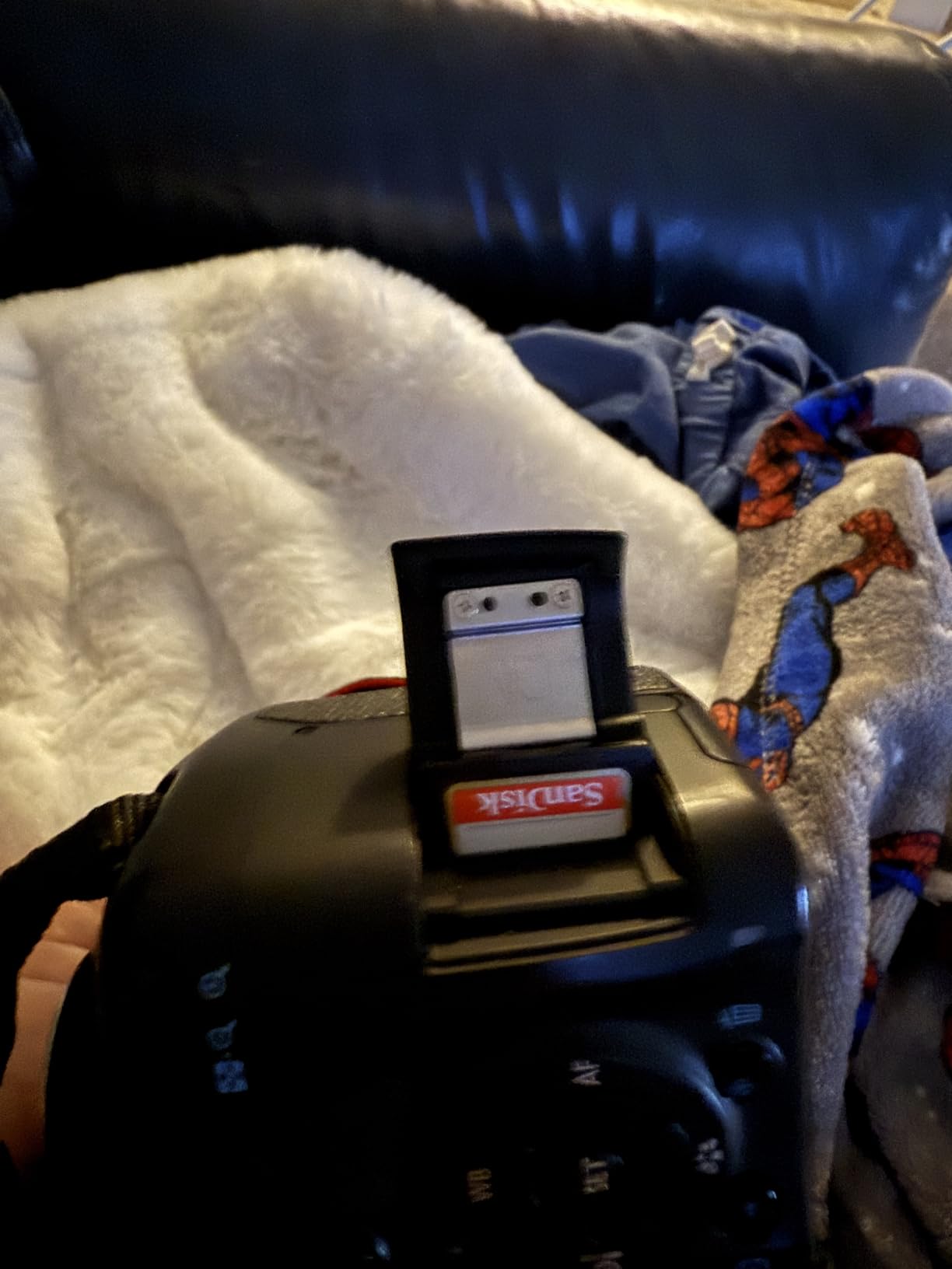 SanDisk 512GB Extreme SDXC UHS-I Memory Card - C10, U3, V30, 4K, UHD, SD Card - SDSDXVV-512G-GNCIN - Customer Photo 2