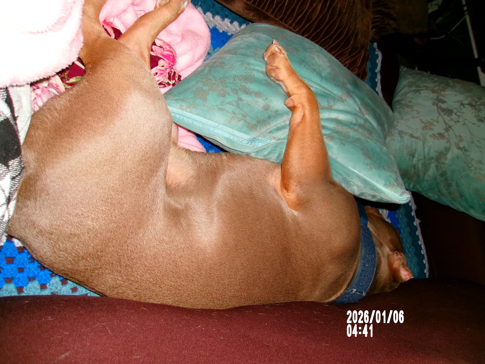 KODAK PIXPRO Friendly Zoom FZ45-WH 16MP Digital Camera with 4X Optical Zoom 27mm Wide Angle and 2.7