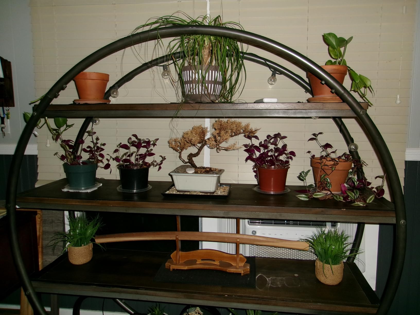 KODAK PIXPRO Friendly Zoom FZ45-BK 16MP Digital Camera with 4X Optical Zoom 27mm Wide Angle and 2.7 KODAK PIXPRO Friendly Zoom FZ45-BK 16MP Digital Camera with 4X Optical Zoom 27mm Wide Angle and 2.7