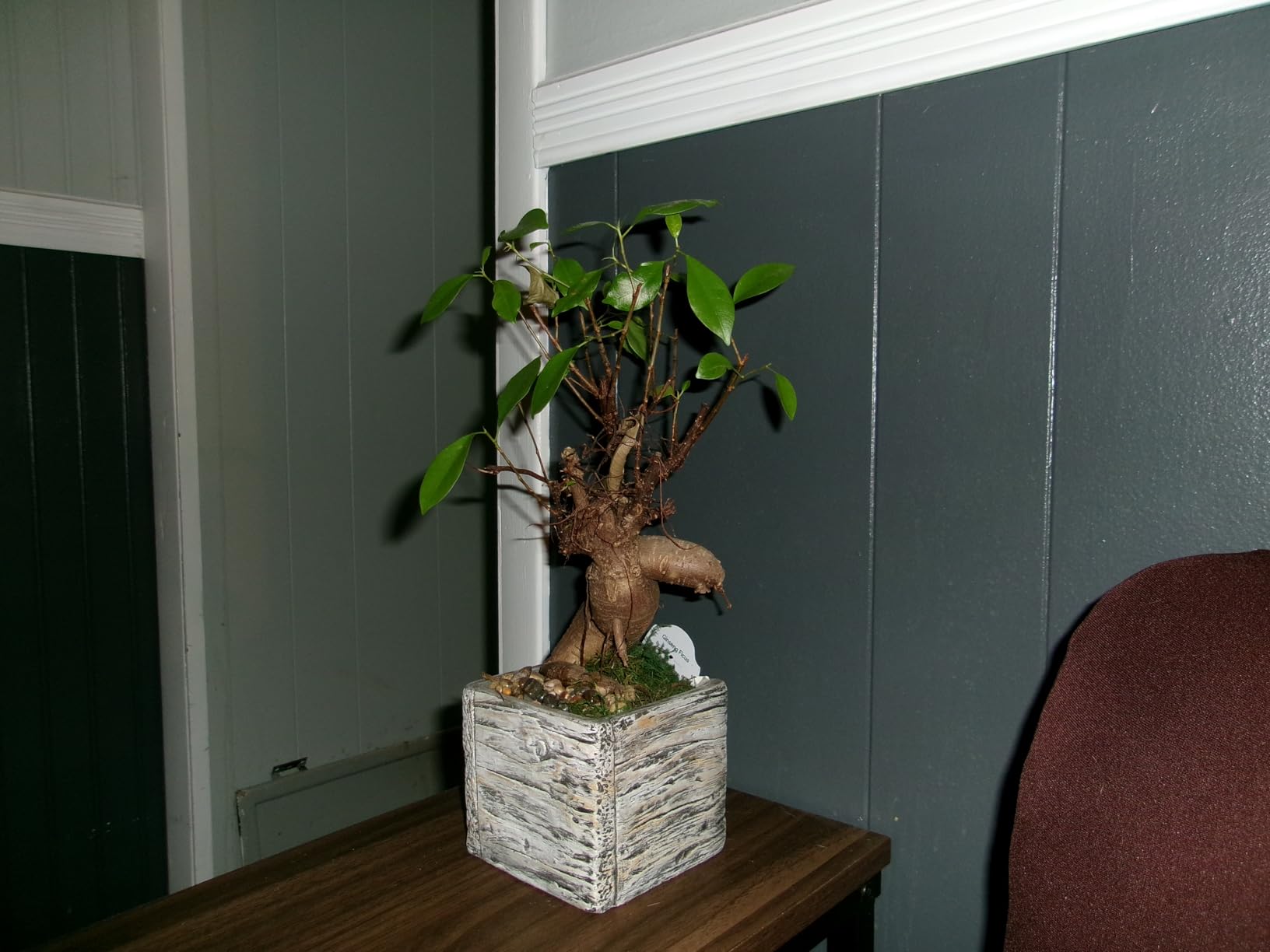 KODAK PIXPRO Friendly Zoom FZ45-BK 16MP Digital Camera with 4X Optical Zoom 27mm Wide Angle and 2.7 KODAK PIXPRO Friendly Zoom FZ45-BK 16MP Digital Camera with 4X Optical Zoom 27mm Wide Angle and 2.7