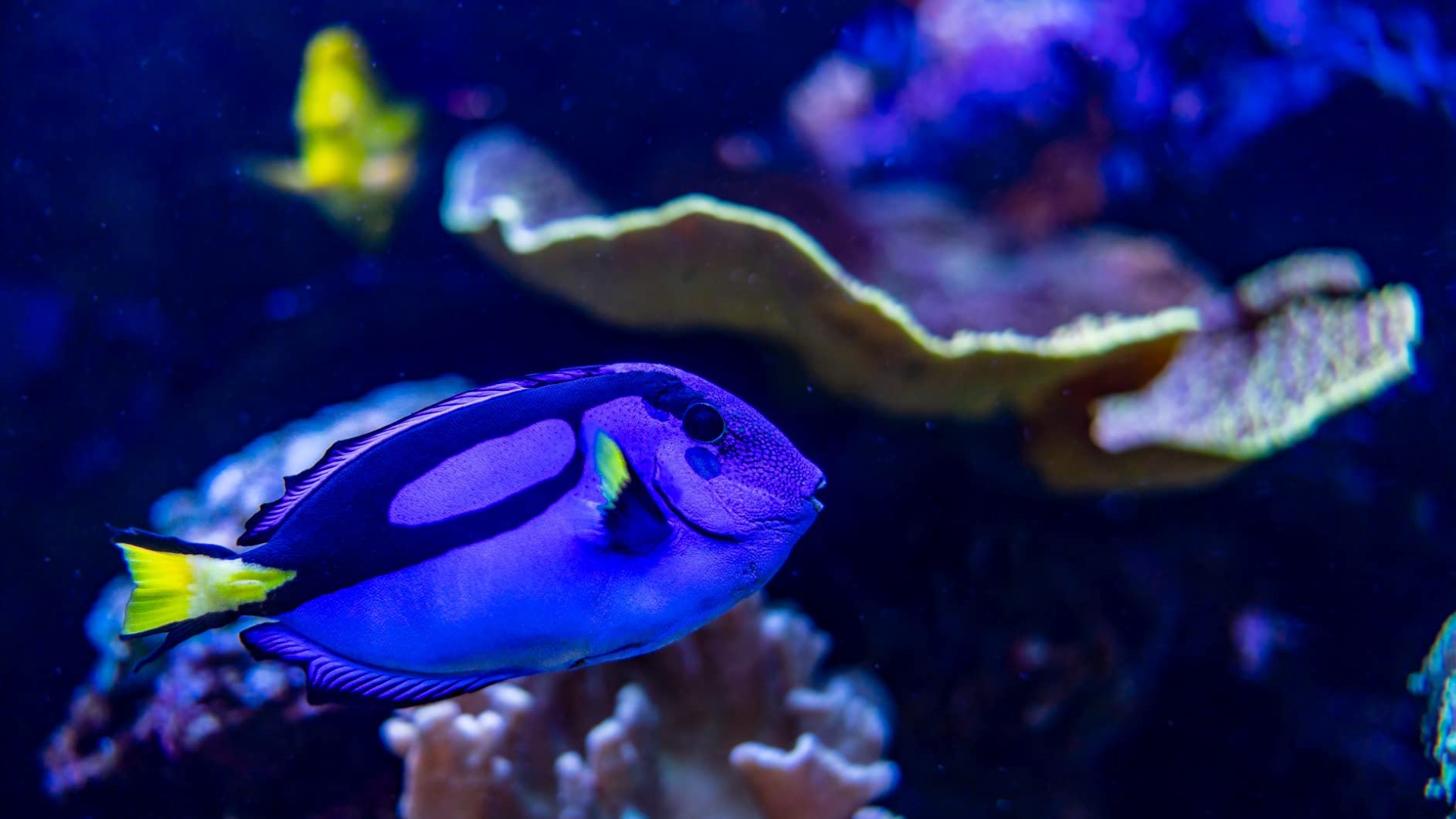 Sigma 24mm f/1.4 DG DN Art Lens for Sony E - Customer Photo 1