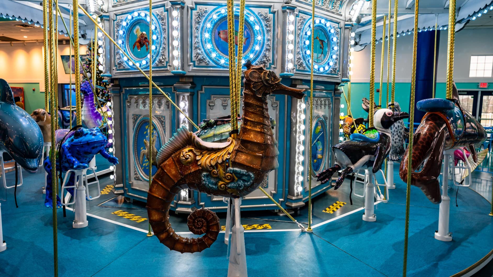 Sigma 24mm F1.4 Art DG DN for Sony E Mount - Customer Photo 2