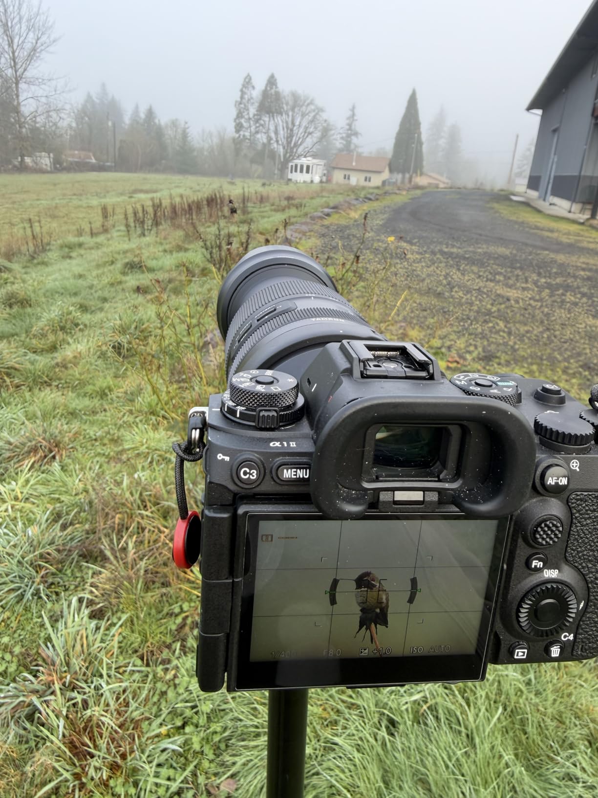 Tamron 50-400mm f/4.5-6.3 Di III VC VXD All-in-One Superzoom Lens for Sony Customer Review Tamron 50-400mm f/4.5-6.3 Di III VC VXD All-in-One Superzoom Lens for Sony - Customer Photo 1