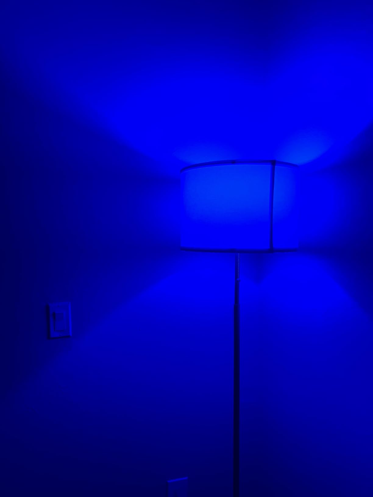 Linkind Smart Light Bulbs, Smart Bulb That Work with Alexa & Google Home, LED Light Bulbs Color Changing, 104 Preset Scene, Music Sync, A19 E26 2.4GHz RGBTW WiFi Bluetooth Light Bulb 60W, 800LM, 4Pack - Customer Photo 2