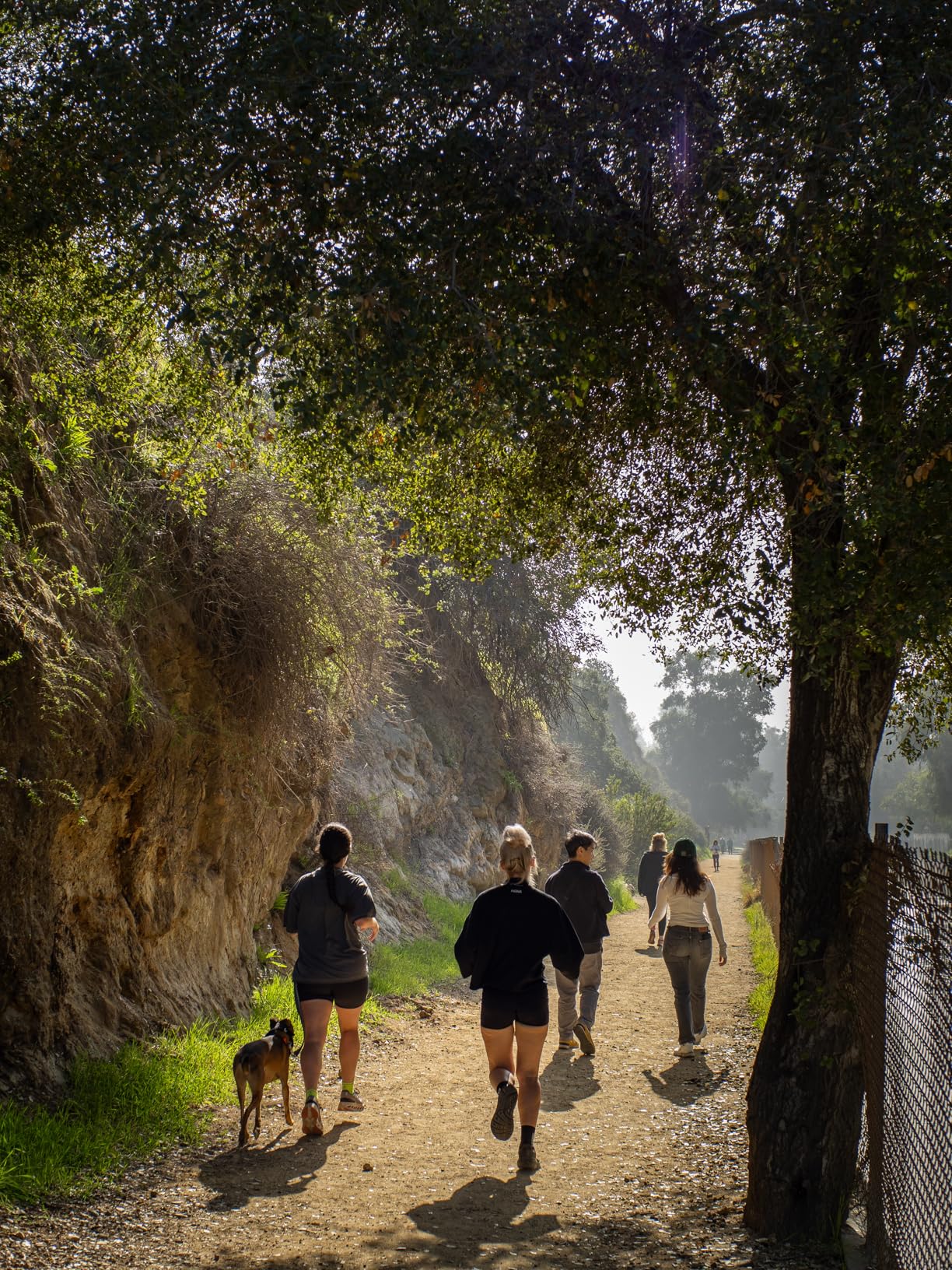 TTArtisan 25mm F2 Wide-Angle APS-C Camera Lens Large Aperture Manual Fixed Camera Lens Compatible with Olympus and Panasonic MFT M4/3 Mount Cameras Customer Review TTArtisan 25mm F2 Wide-Angle APS-C Camera Lens Large Aperture Manual Fixed Camera Lens Compatible with Olympus and Panasonic MFT M4/3 Mount Cameras - Customer Photo 1