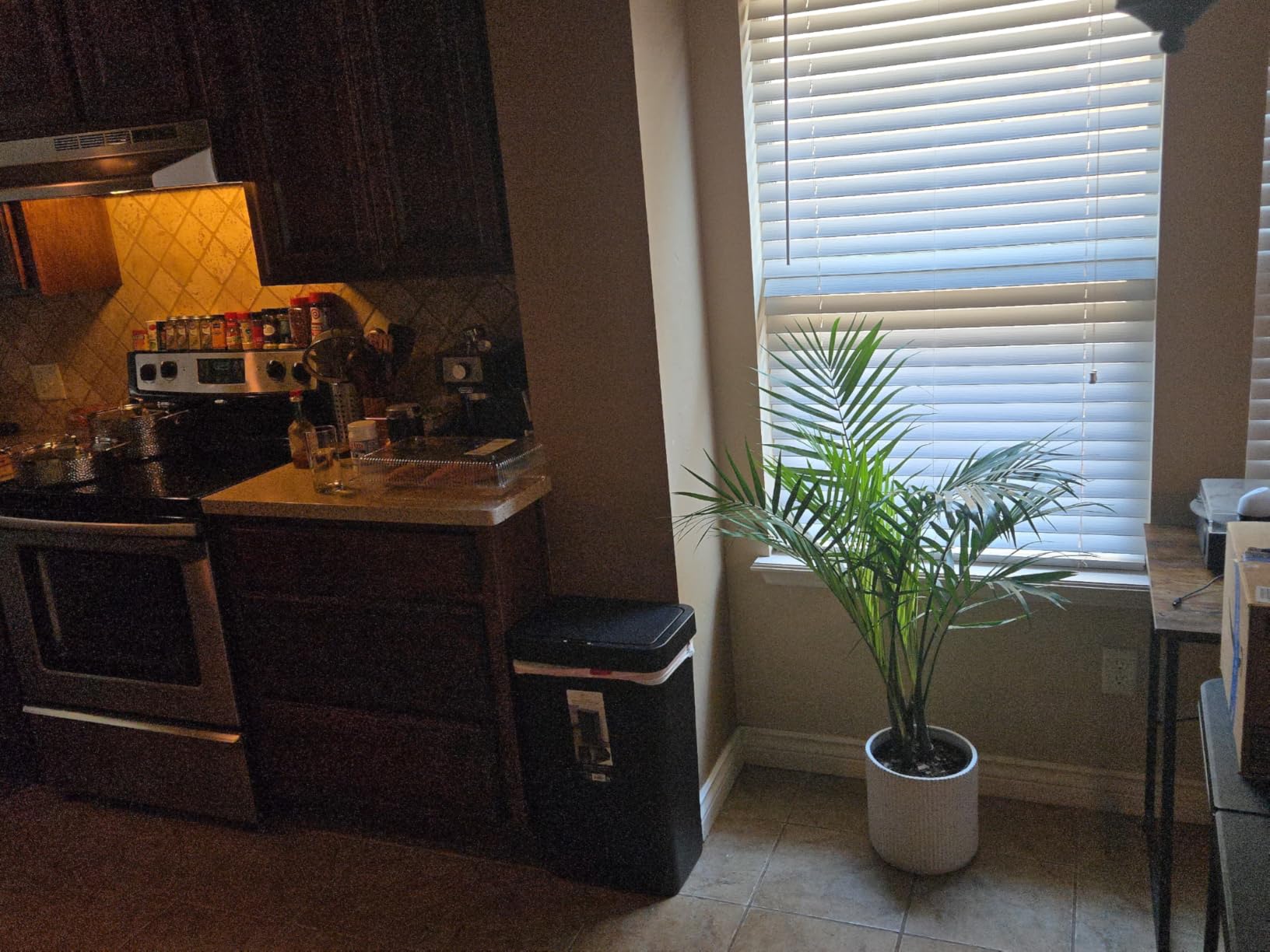 Amazon Basics Assorted Sizes Fluted Ceramic Round Indoor Outdoor Planters with Drainage, Set of 3, Modern Design, 6 inch, 8 inch, 10 inch, White Customer Review Amazon Basics Assorted Sizes Fluted Ceramic Round Indoor Outdoor Planters with Drainage, Set of 3, Modern Design, 6 inch, 8 inch, 10 inch, White - Customer Photo 1