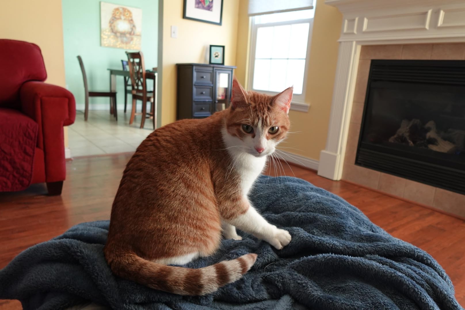 Sony ZV-1F Vlog Camera for Content Creators and Vloggers Black - Customer Photo 2