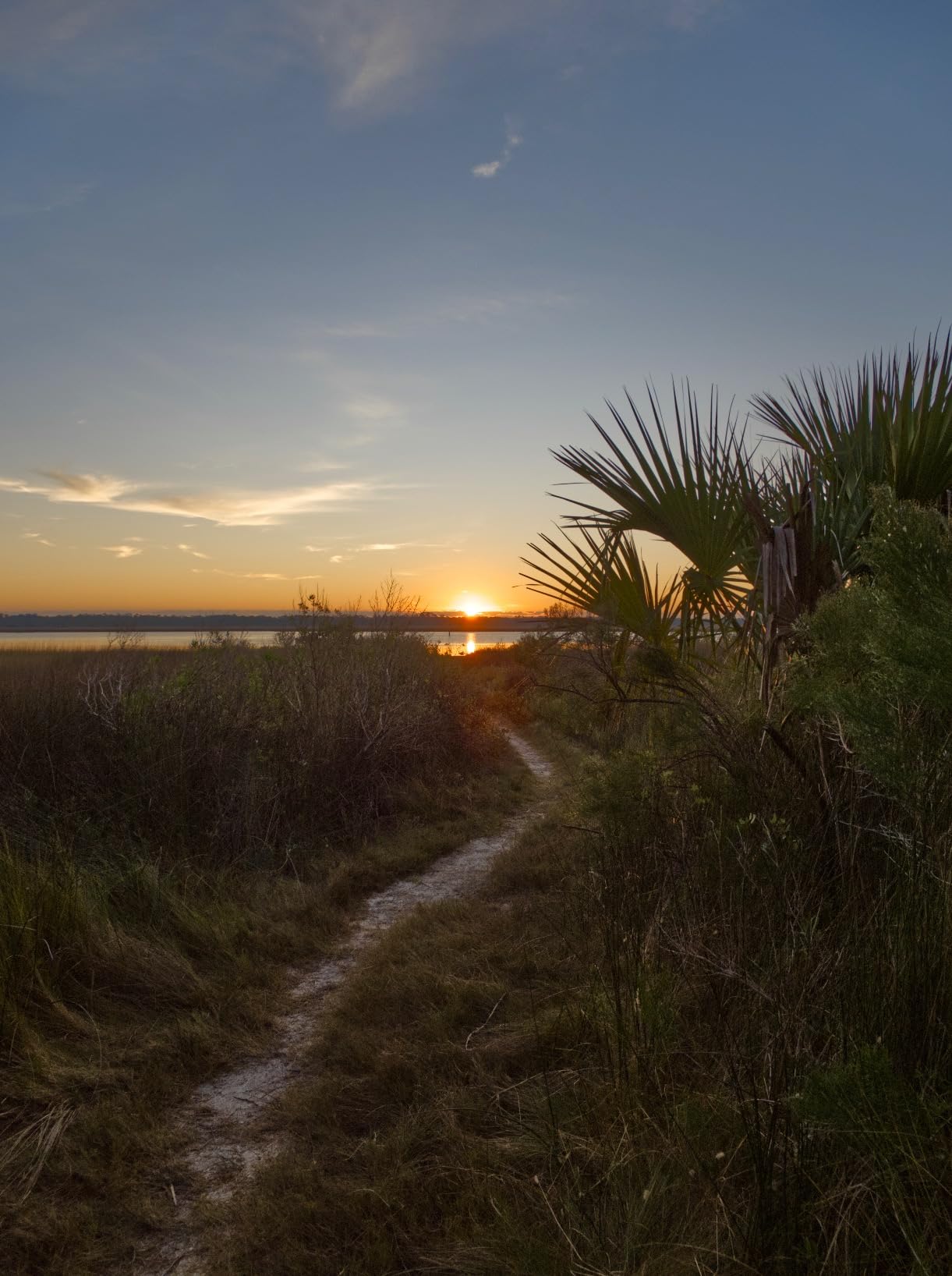 OM SYSTEM Olympus OM-5 Black Micro Four Thirds System Camera M.Zuiko Digital ED 12-45mm F4.0 PRO kit Outdoor Camera Weather Sealed Design 5-Axis Image Stabilization 50MP Handheld High Res Shot - Customer Photo 1