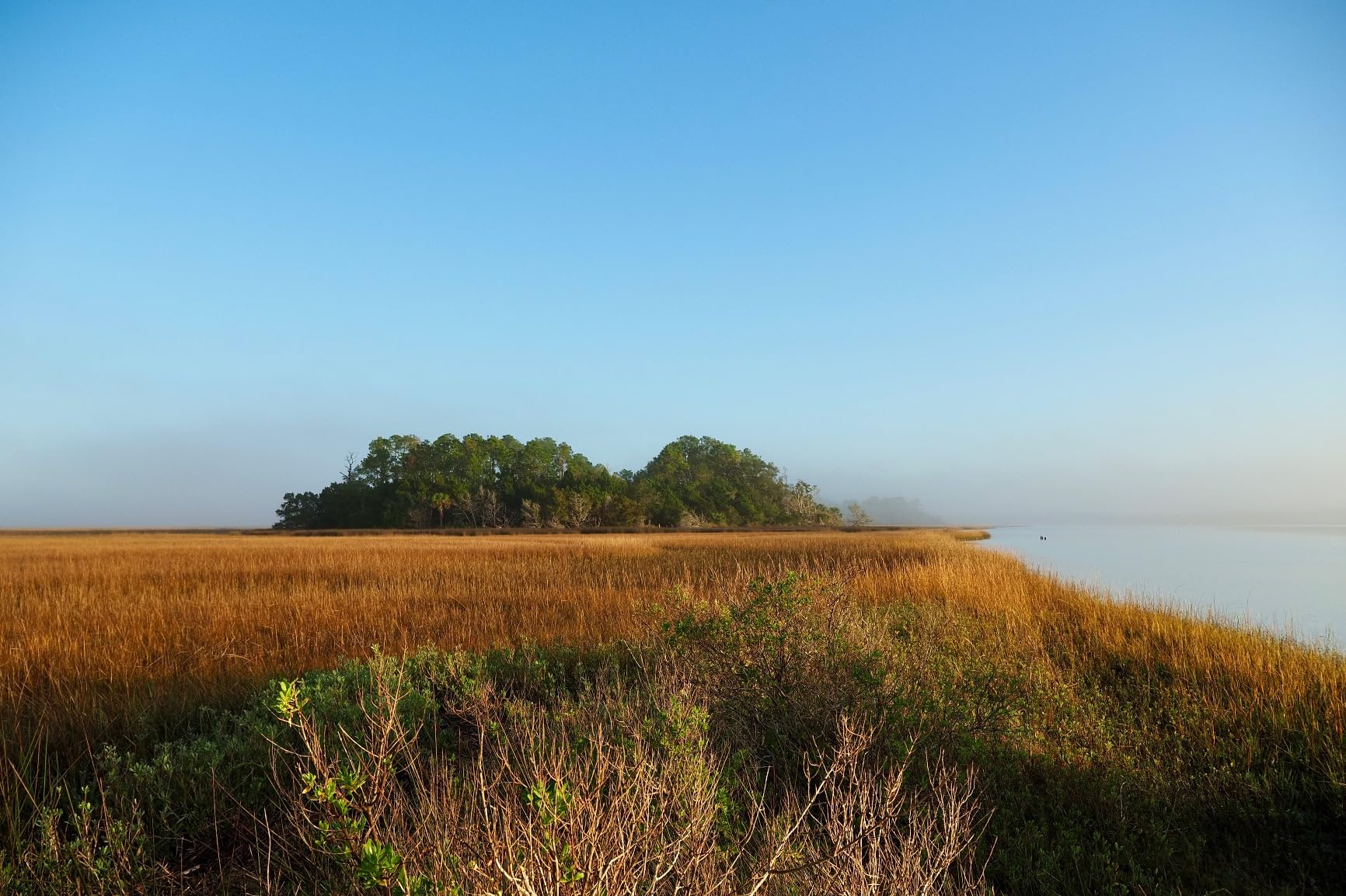 OM SYSTEM Olympus OM-5 Black Micro Four Thirds System Camera M.Zuiko Digital ED 12-45mm F4.0 PRO kit Outdoor Camera Weather Sealed Design 5-Axis Image Stabilization 50MP Handheld High Res Shot - Customer Photo 2