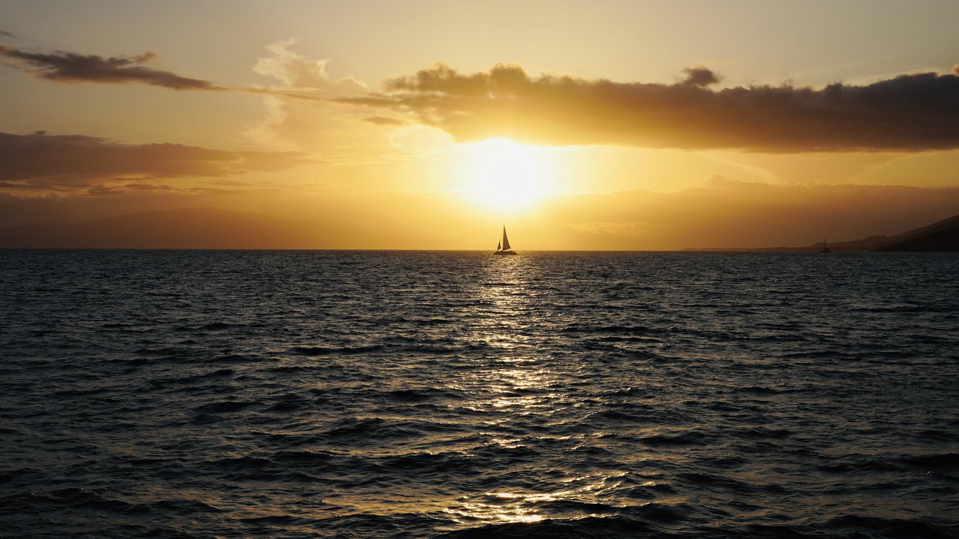 Tamron 20-40mm f/2.8 Di III VXD Lens for Sony E-Mount Full Frame Mirrorless Cameras - Customer Photo 1