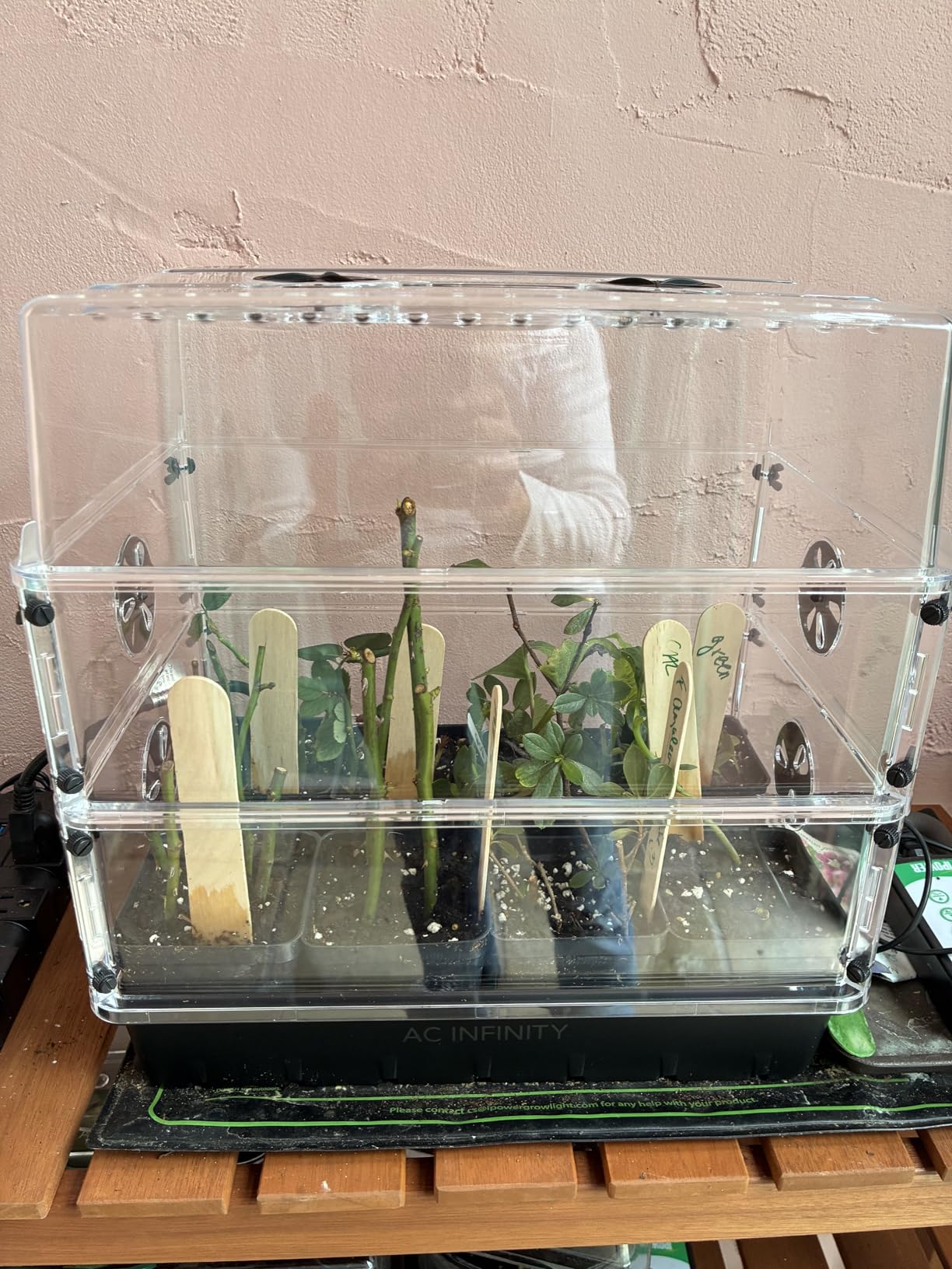 AC Infinity Heavy-Duty Humidity Dome 5x8 Germination Kit, Full Spectrum LED Grow Light Bars w/Samsung LM301H EVO LEDs, Heat Mat, 3 mm Thickest Dome, Trays, Vented Panels, for Seed Starting - Customer Photo 1