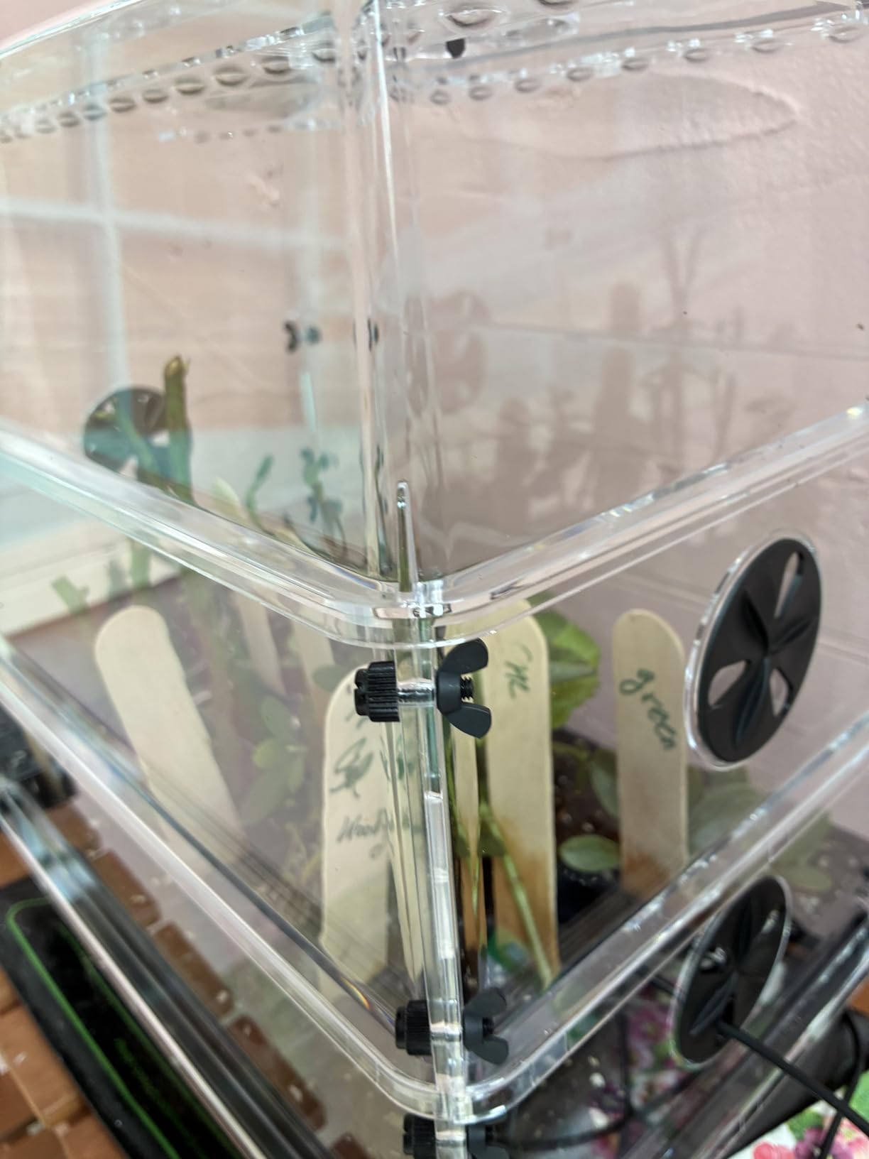 AC Infinity Heavy-Duty Humidity Dome 5x8 Germination Kit, Full Spectrum LED Grow Light Bars w/Samsung LM301H EVO LEDs, Heat Mat, 3 mm Thickest Dome, Trays, Vented Panels, for Seed Starting - Customer Photo 2