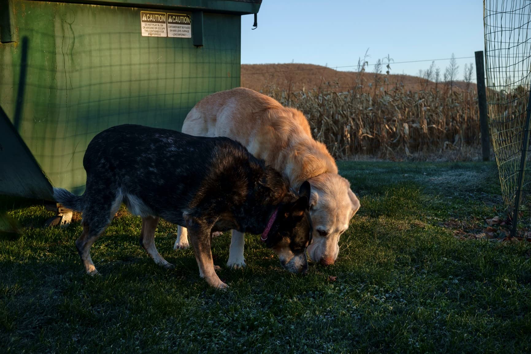 TTArtisan 27mm F2.8 Autofocus Lens for Fuji X-Mount - Customer Photo 4