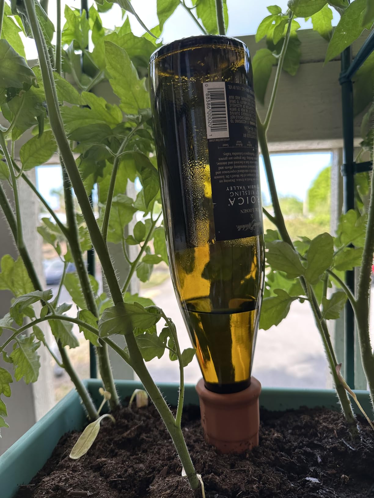 Plant Self-Watering Stakes-15 Pack Terracotta Automatic Plant Waterer Devices Auto-Water Irrigation System for Indoor/Outdoor Plants - Customer Photo 2