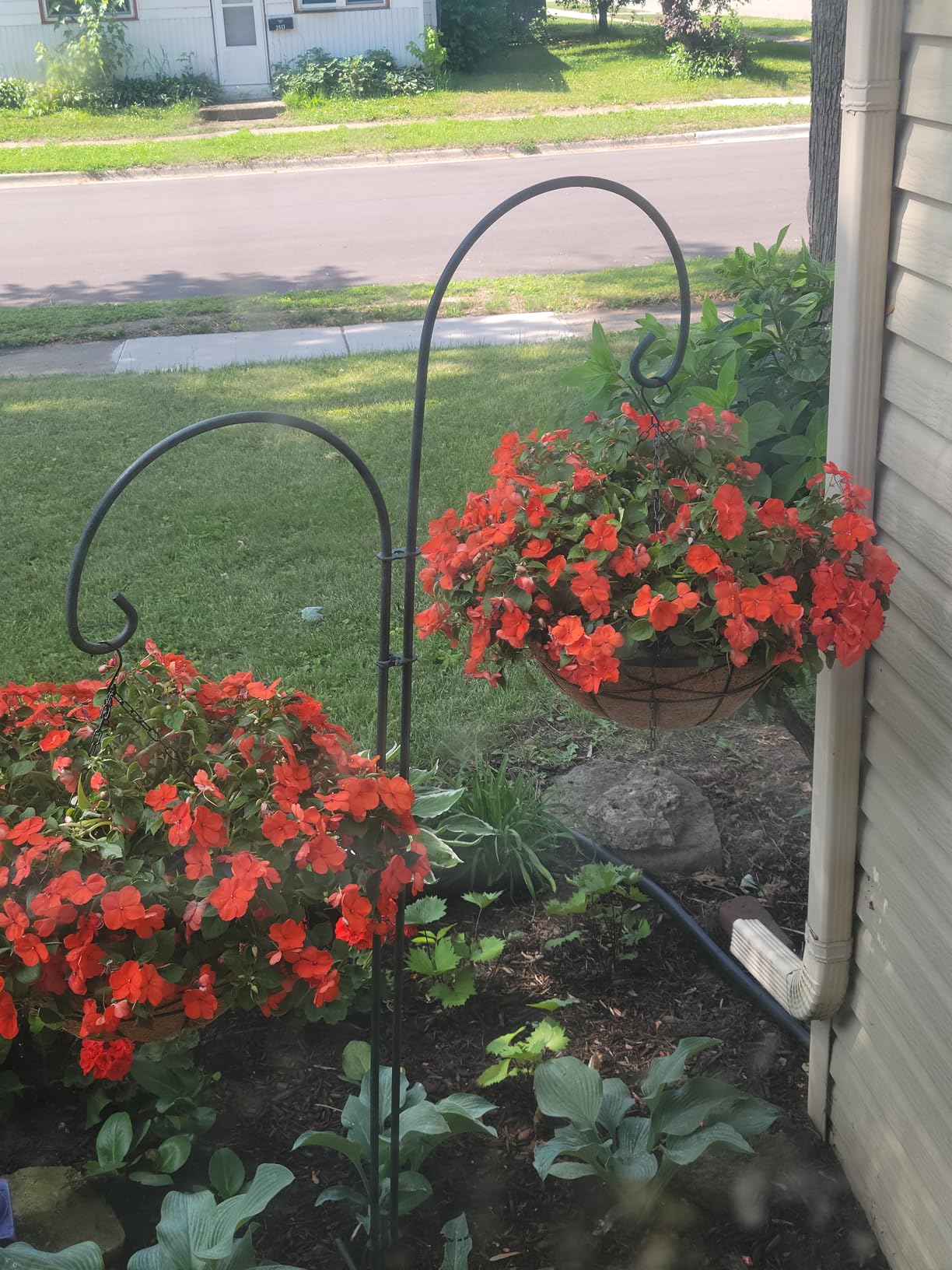 4 Pack 12 Inch Hanging Planters for Outdoor Plants Metal Watering Flower Baskets with Coco Liner for Hanging Pot Round Plant Holders Planter for Outside Garden Decoration - Customer Photo 1