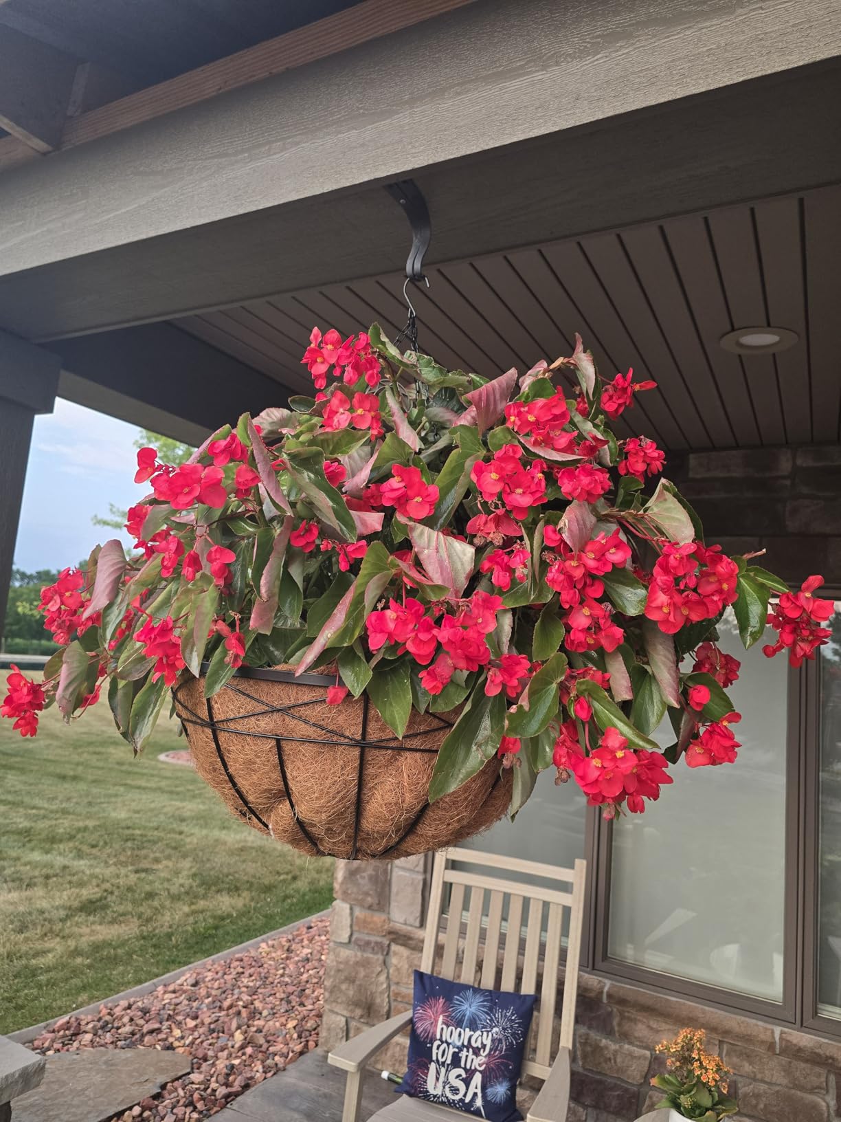 4 Pack 12 Inch Hanging Planters for Outdoor Plants Metal Watering Flower Baskets with Coco Liner for Hanging Pot Round Plant Holders Planter for Outside Garden Decoration - Customer Photo 2