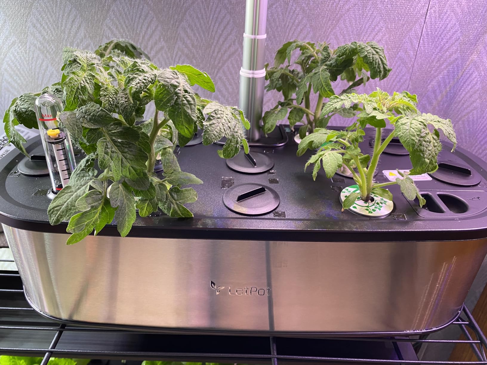LetPot LPH-SE Hydroponics Growing System, 12 Pods Smart Herb Garden Kit Indoor, Indoor Garden, APP & WiFi Controlled, with 24W Growing LED, 5.5L Water Tank, Pump System, Automatic Timer - Customer Photo 1